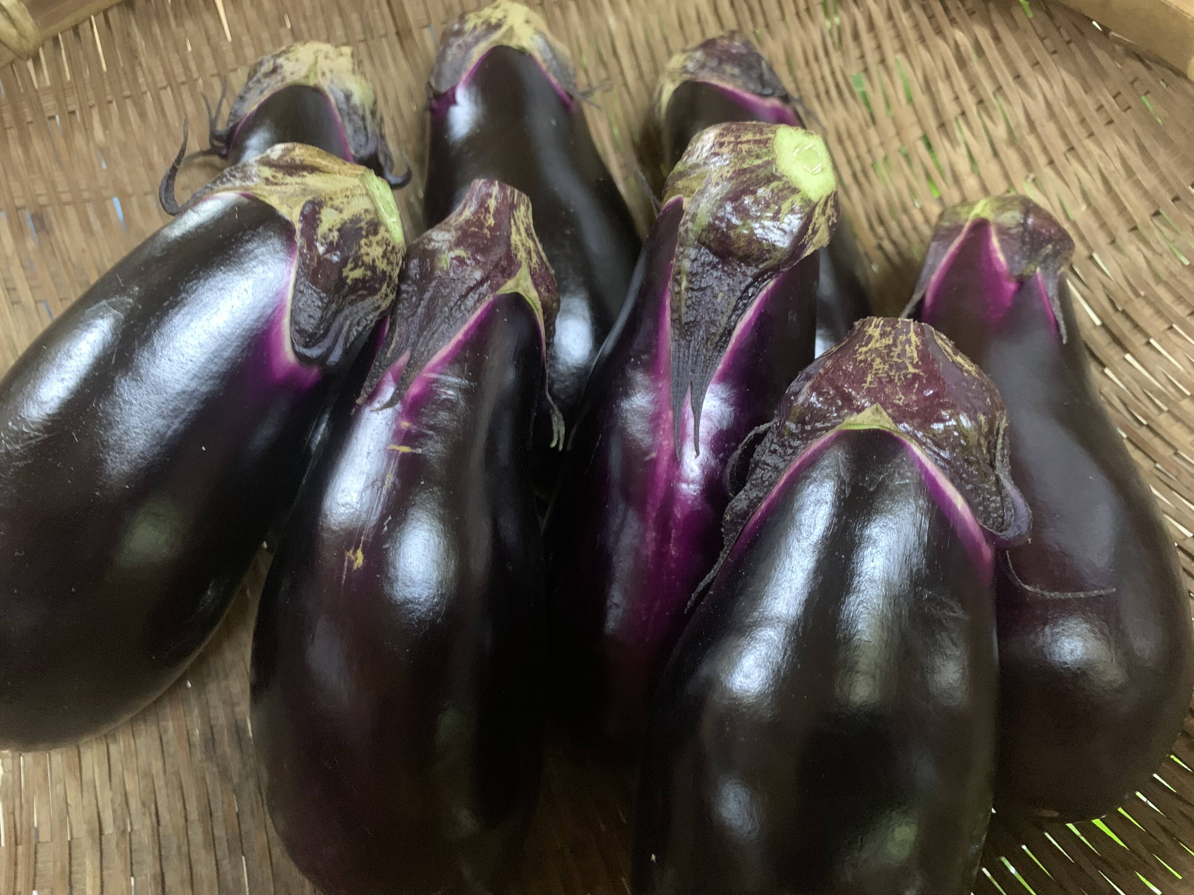 なす ナス - 自然農法センター | 公益財団法人 自然農法国際研究開発センター