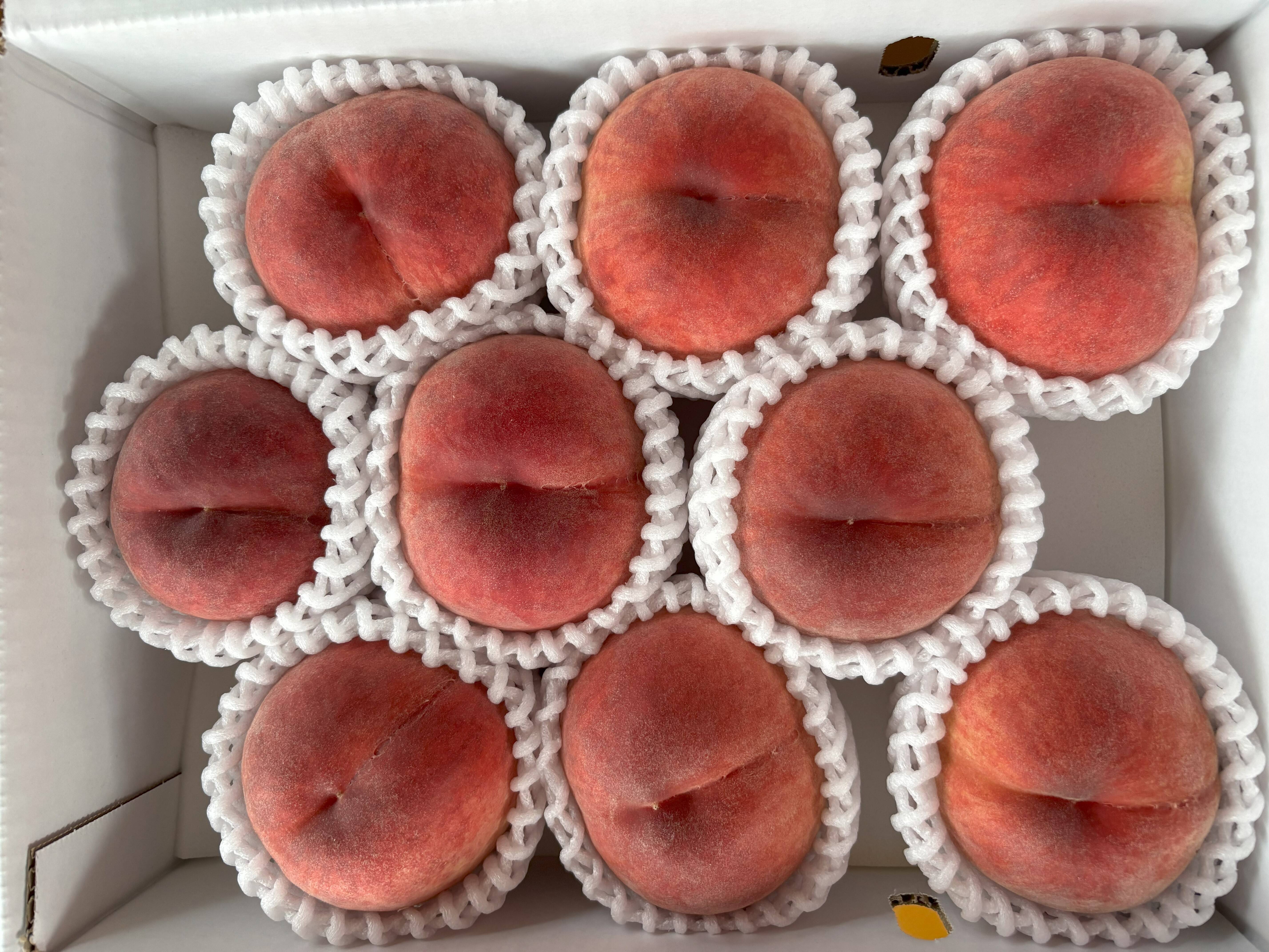 山梨県産 夢みずき 特秀品8～10玉：山梨県産の夢みずき｜食べチョク