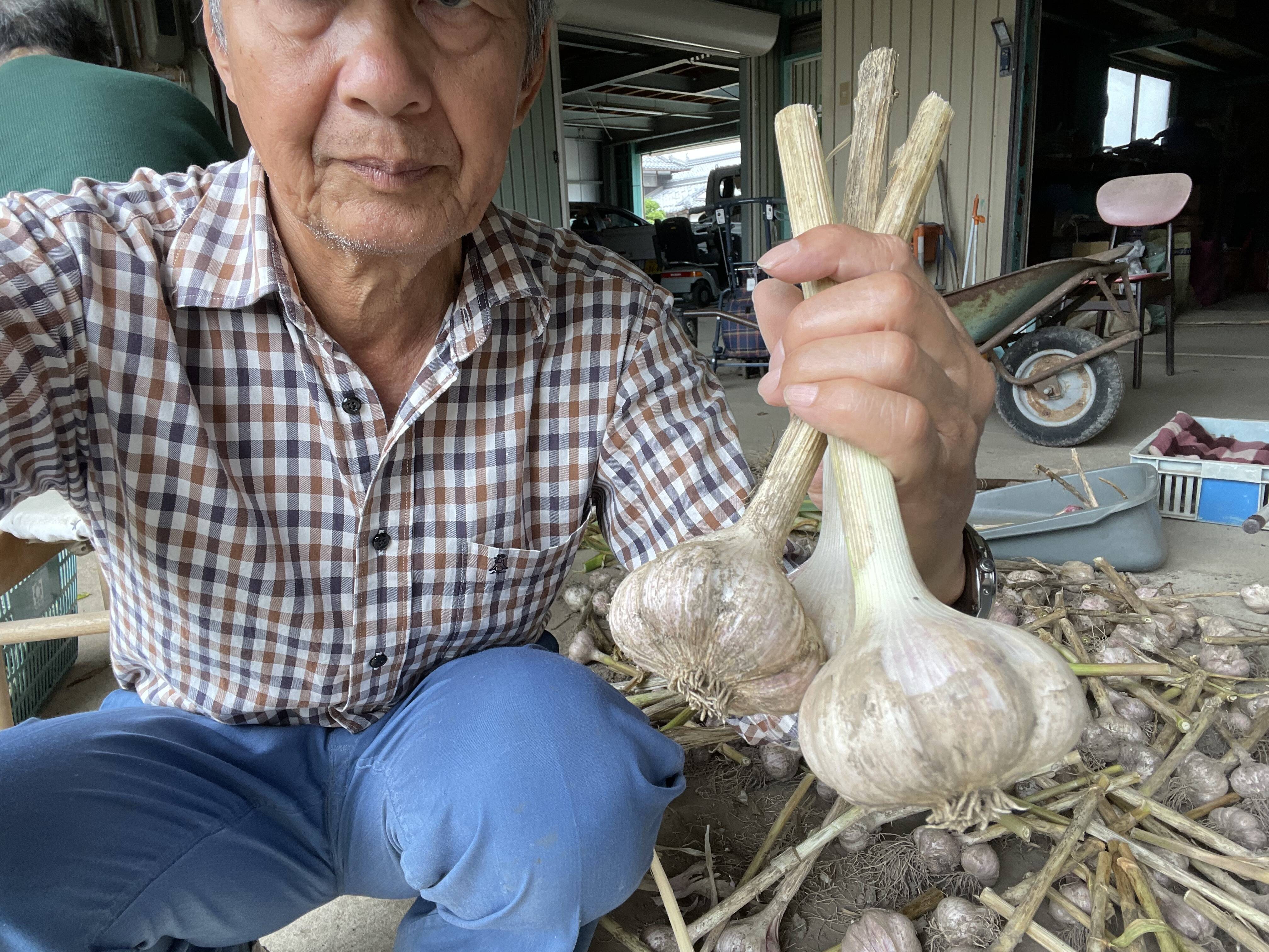 香り立つ丹波産ニンニク（１ｋｇ）：兵庫県産のにんにく｜食べチョク