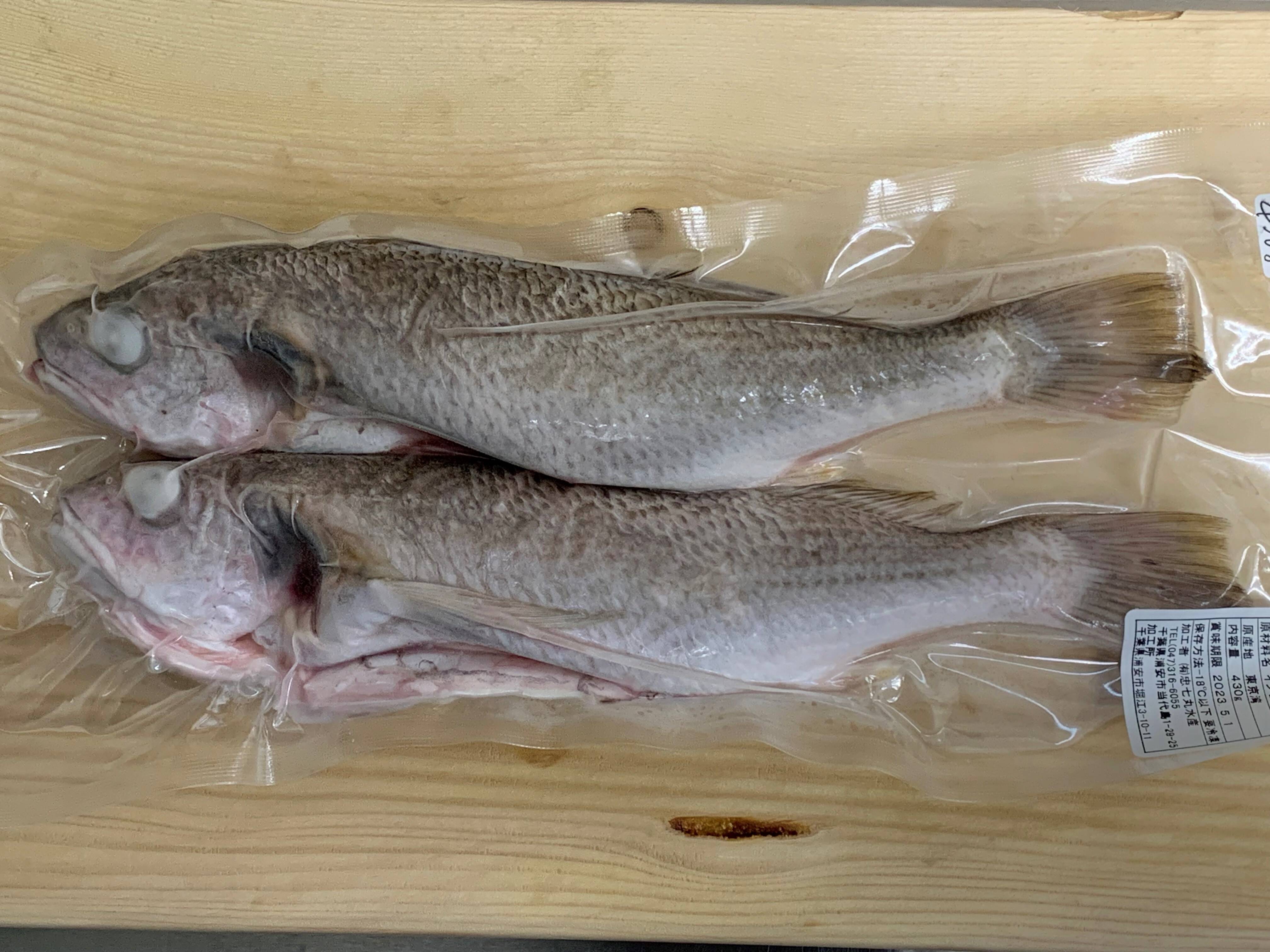 特別価格 鮮魚３種セット イシモチ 小サバ ニベ 千葉県産のその他魚 食べチョク 産地直送 産直 お取り寄せ通販 農家 漁師から旬の食材を直送