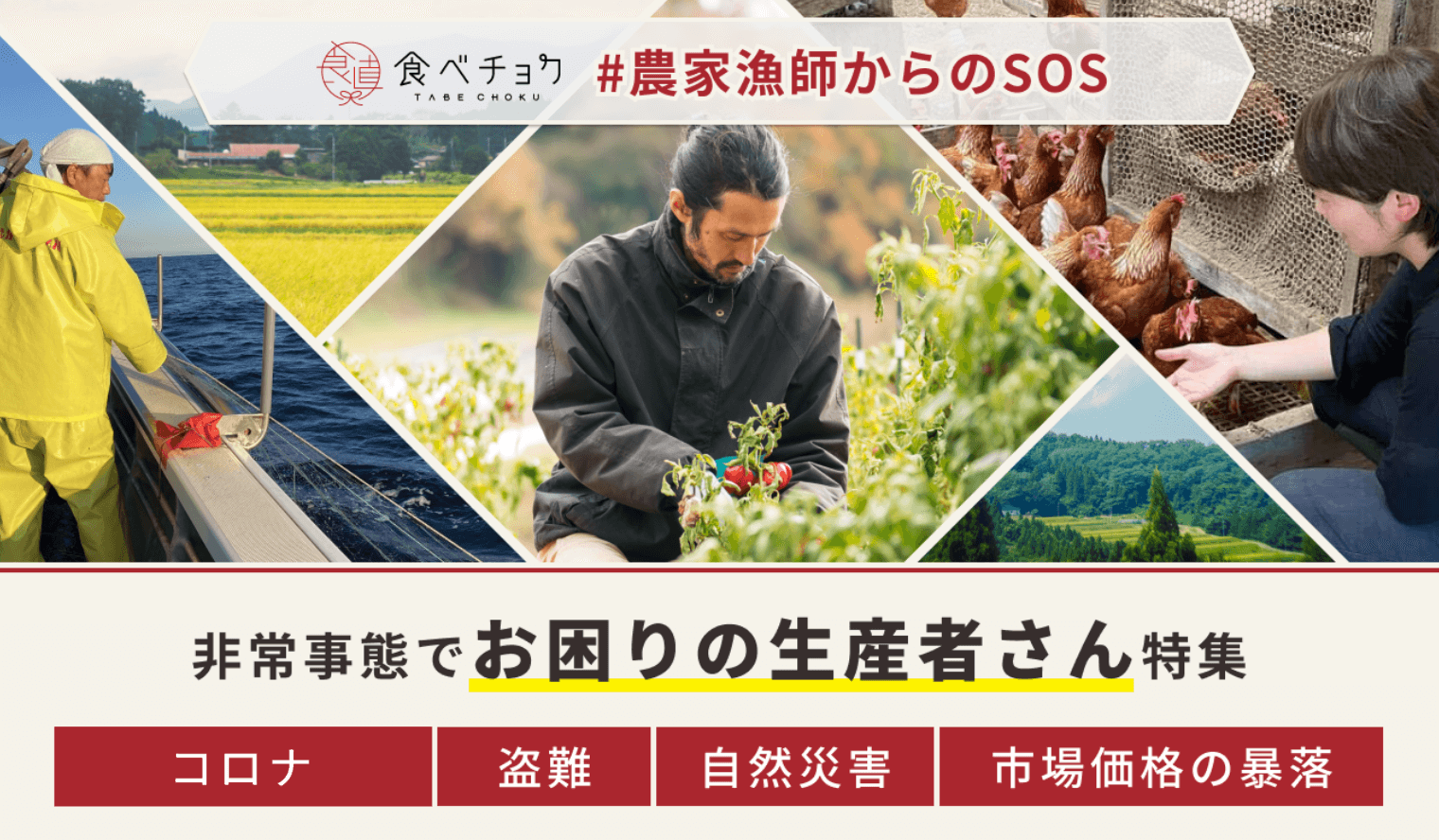 🍴 Tabechoku | [SOS from #Farmers and Fishermen] Special feature on producers who are in trouble Climate change such as rising temperatures and lack of sunlight, decreased sales due to the effects of the new coronavirus, theft...