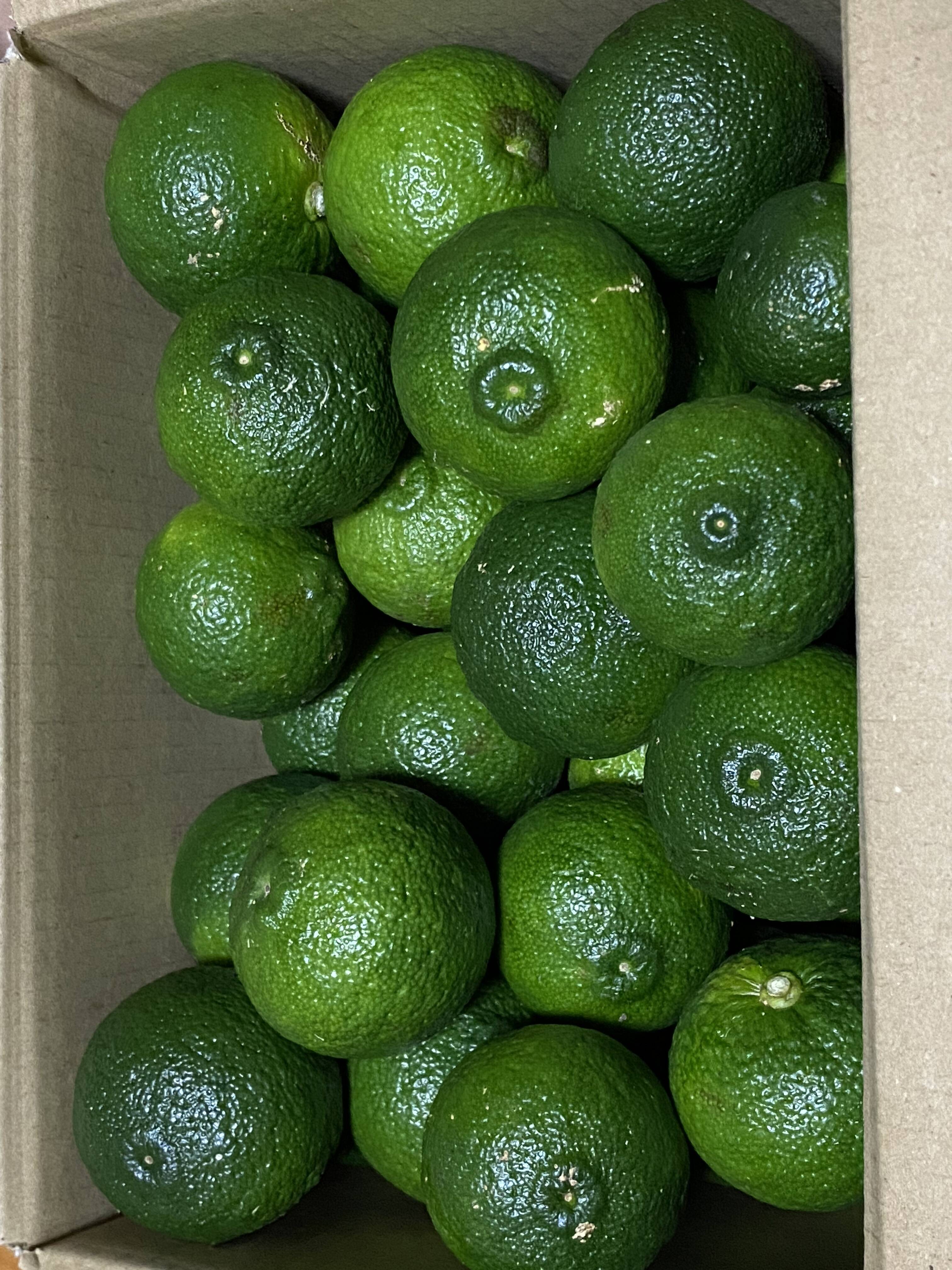 小さい青柚子③ 無農薬 箱込み１キロ強 通販