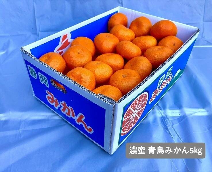 貯蔵熟成】濃蜜 青島みかん 5kg｜静岡県から産地直送（糖度12～15度