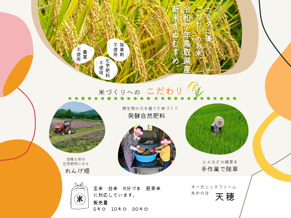 令和7年新米】農薬・化学肥料不使用 冷めても美味しい「きぬむすめ