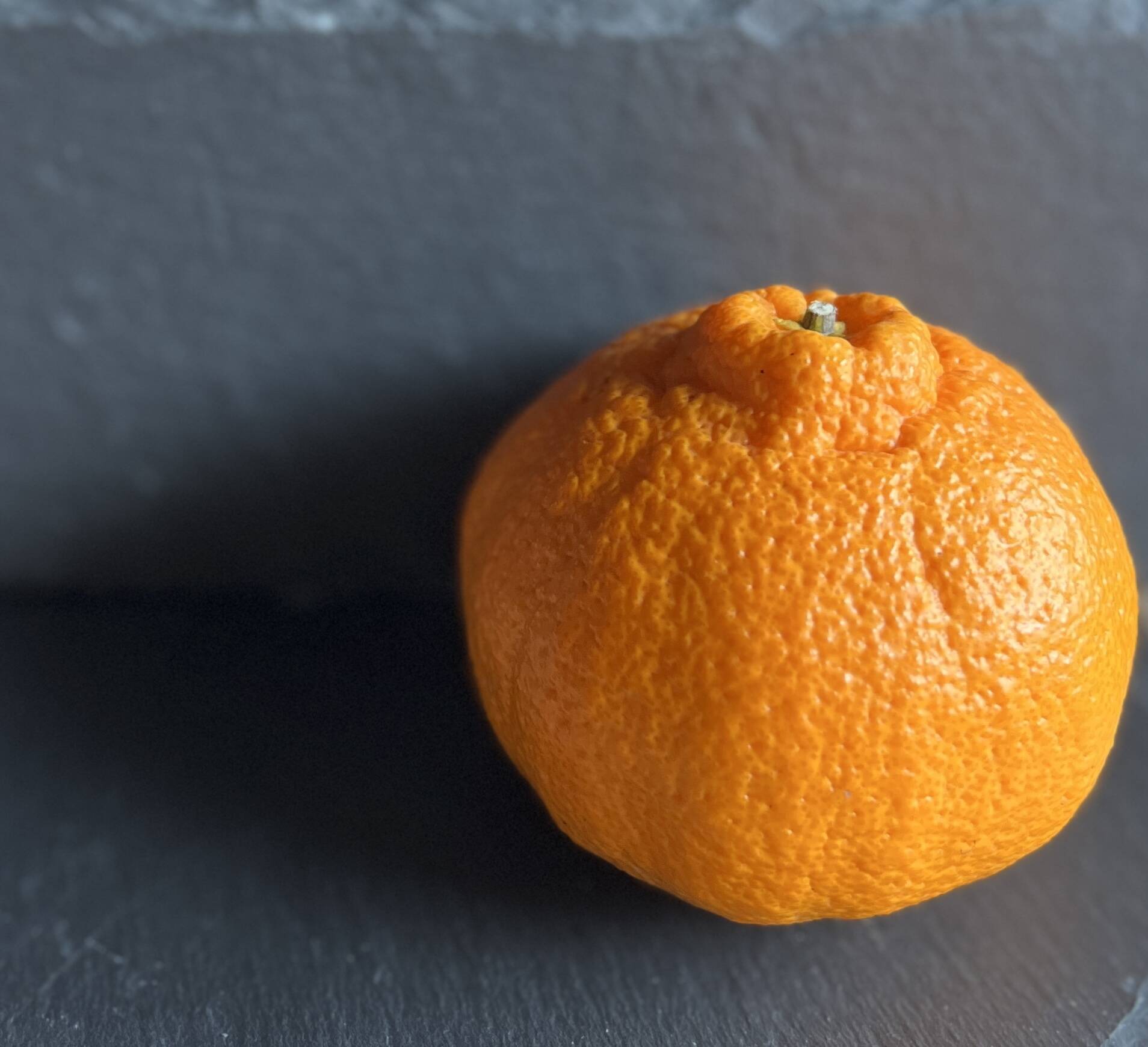 たまらん】酸味・甘味と鼻から抜ける香りの多重奏！ 熊本県不知火産