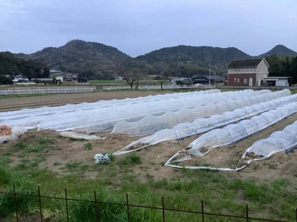 Ryo-2 Farmへのレビュー・商品：香川県｜食べチョク｜産地直送(産直)お