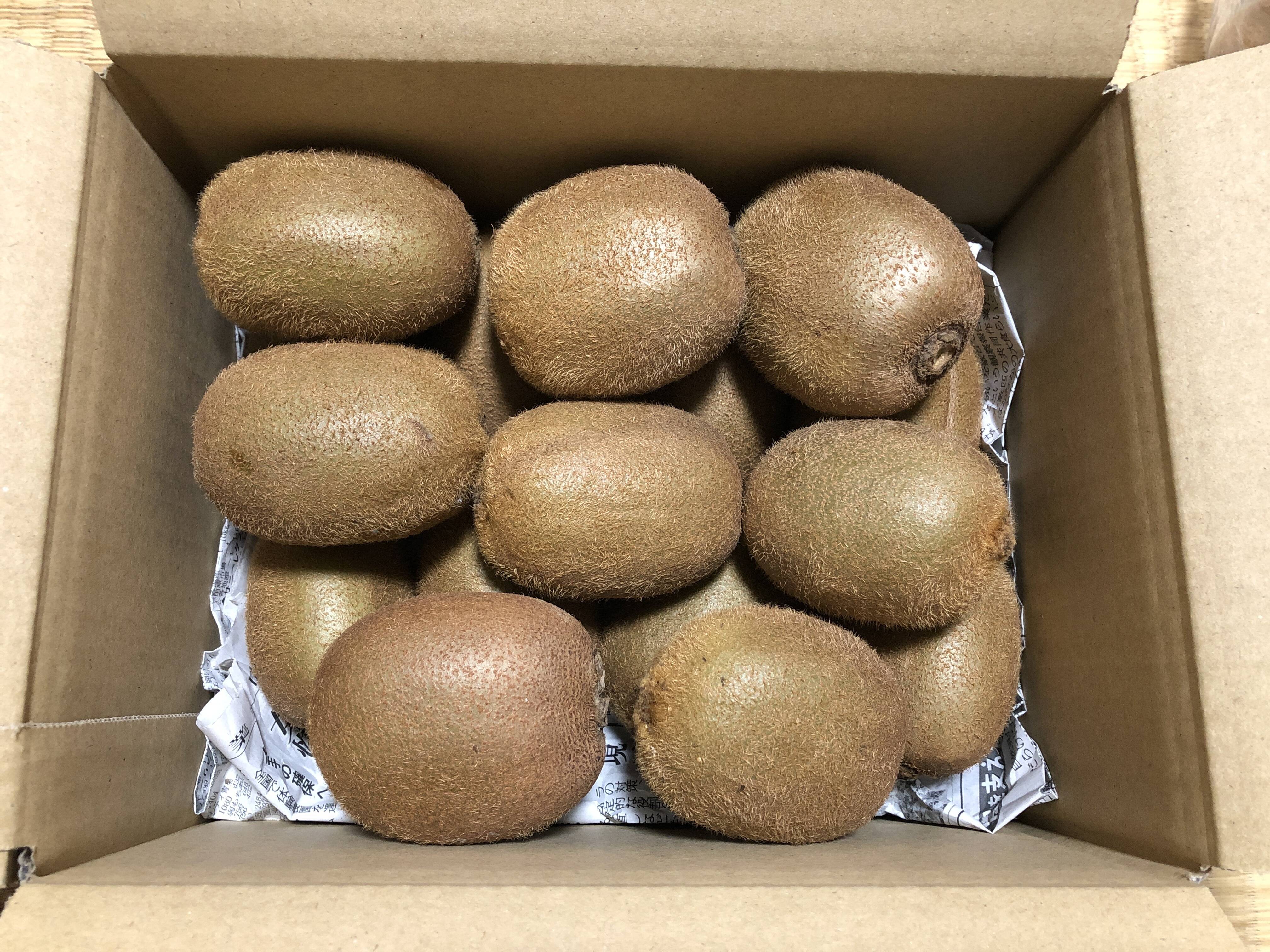 食べ応えのある大玉！山梨県産キウイフルーツ（ヘイワード）1.75〜1.8