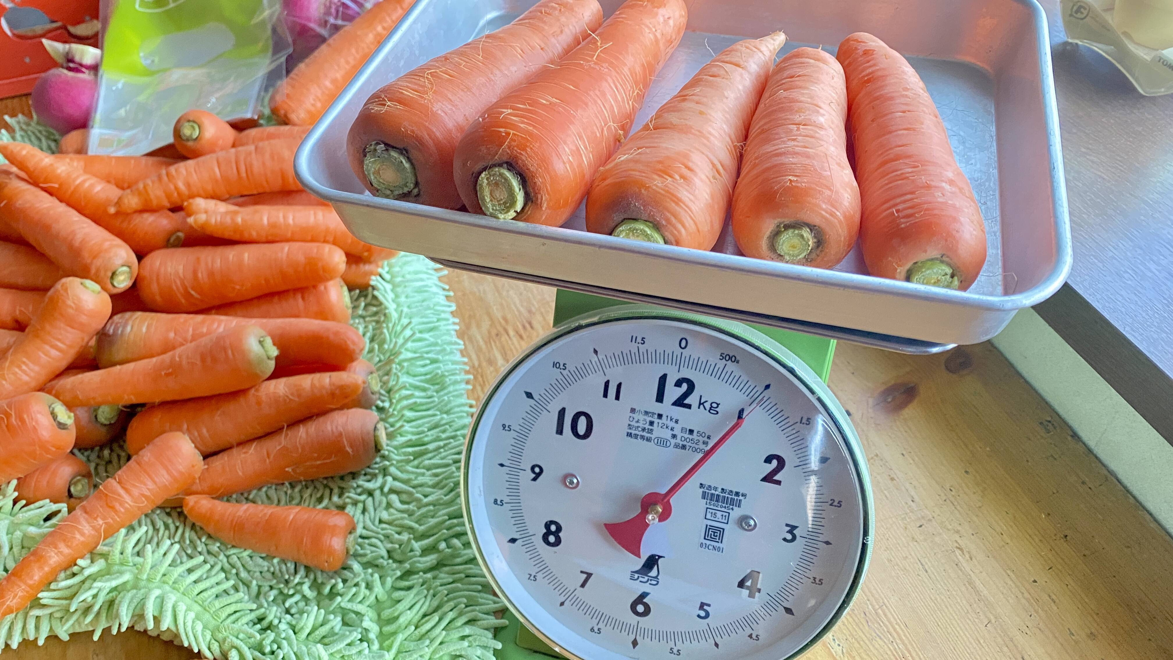 【自然栽培🍀固定種人参１kg５〜１０本）】甘さと瑞々しさが特徴🥕肥料も水も与えずに育てました