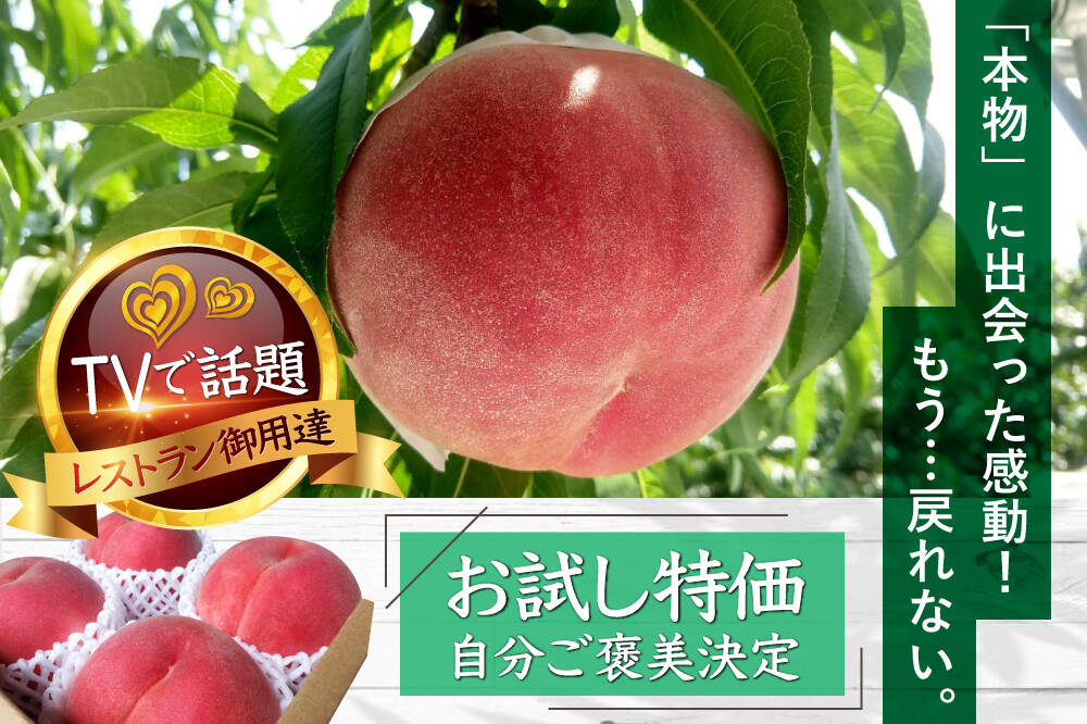 山梨の木のてっぺん桃　超特大を5個詰めて発送　人気商品　ももやのきよし ザワつく!金曜日】出演🍑あしたの内村!!ニノさんにも出演で大人気