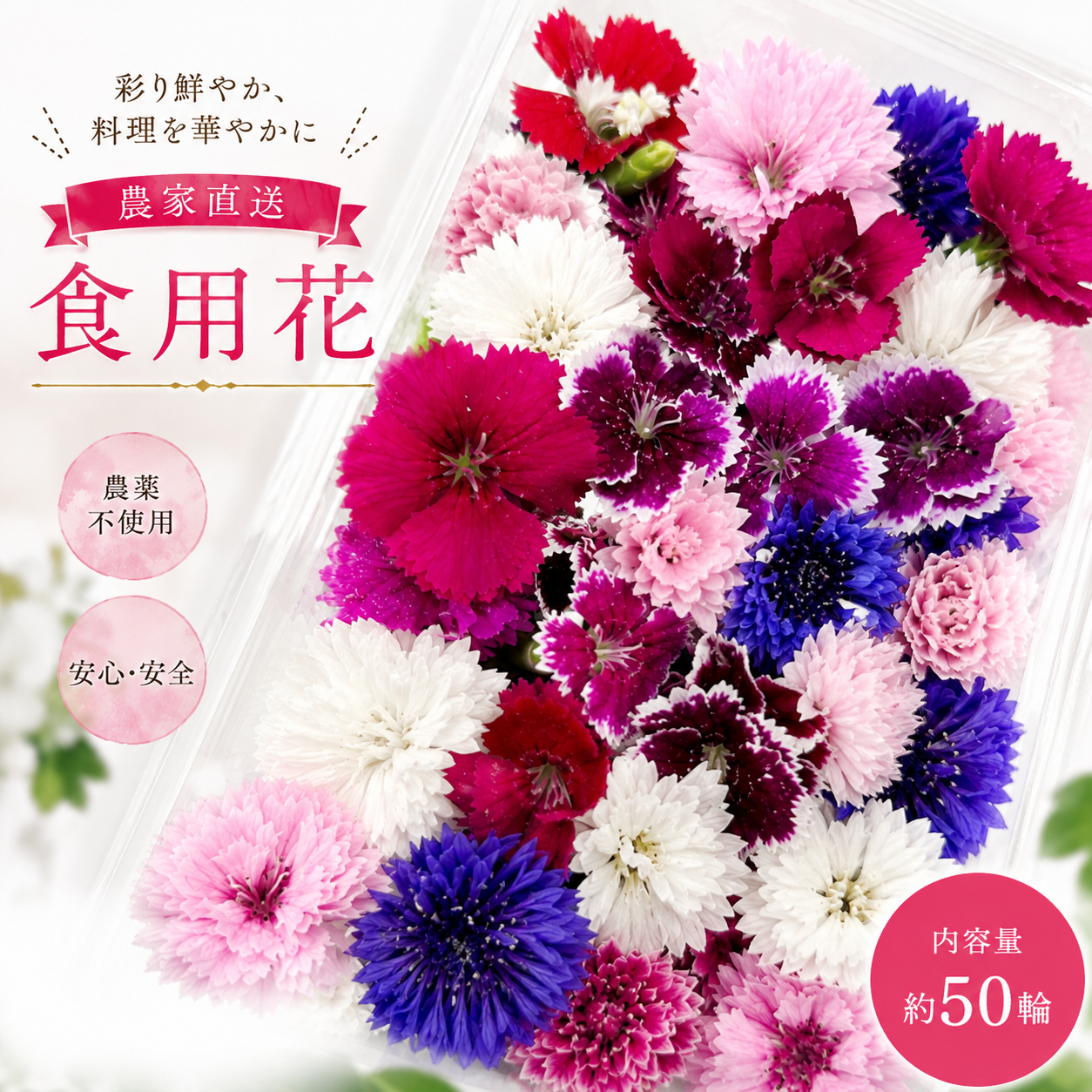 春が最盛期！！！山形の食べる花｜種から農薬不使用で育てたエディブル