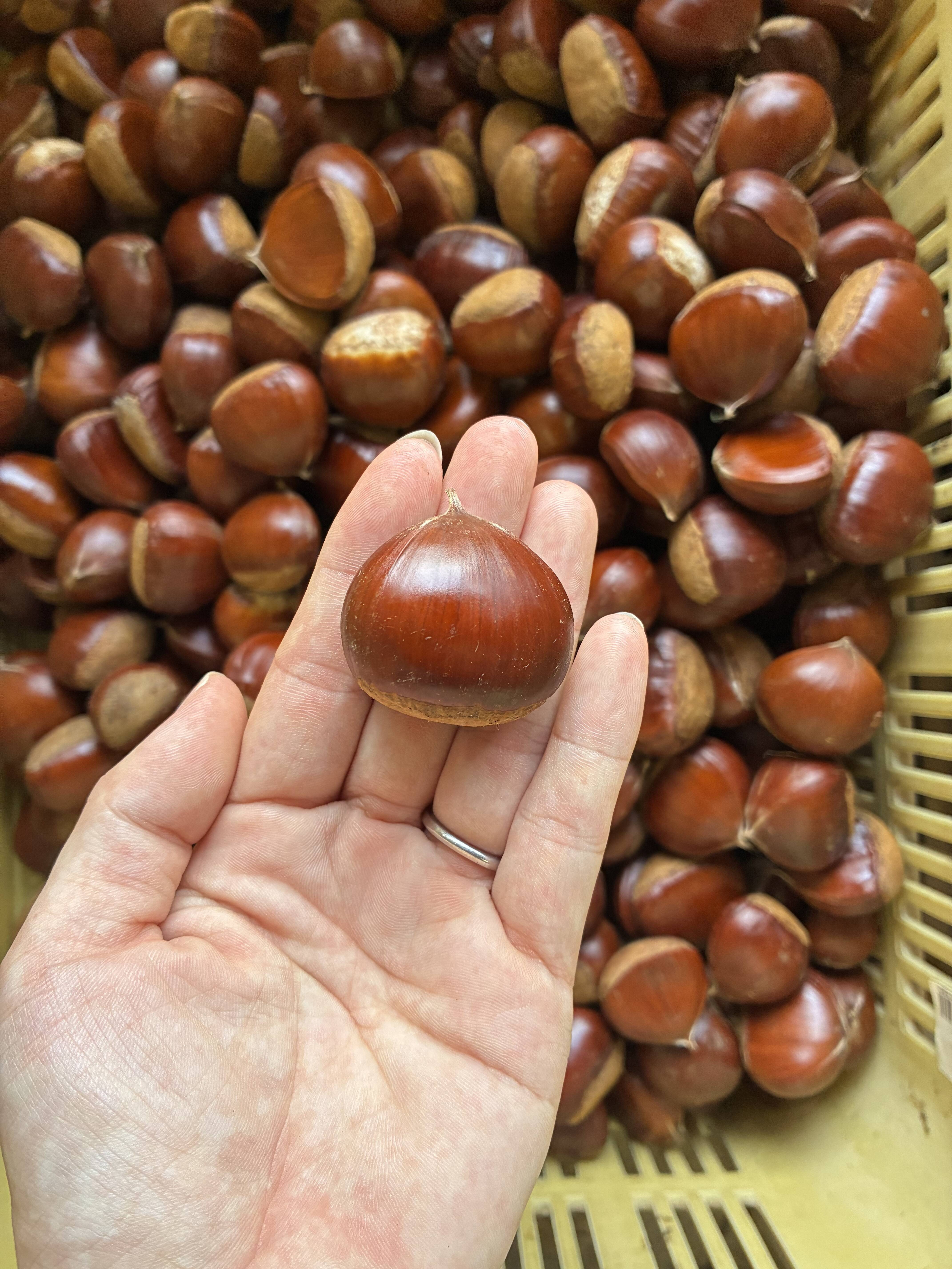 旬の味！お買い得なMサイズ国見栗（1kg）：茨城県産の国見｜食べチョク 