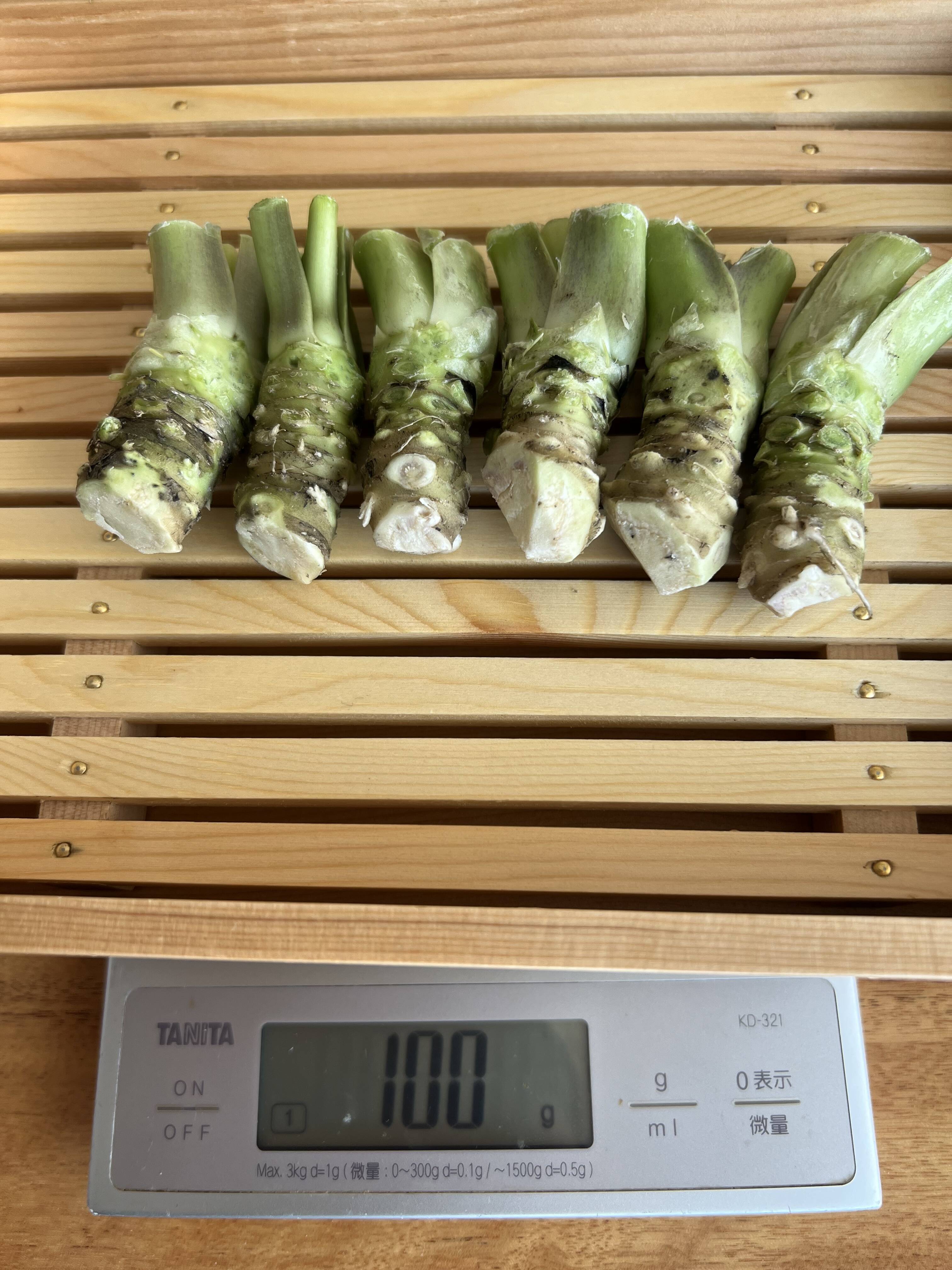 創業125年安曇野の湧水育ち。安曇野産本生わさび。ご家庭サイズ100g