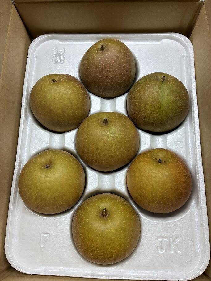 鳥取産甘太梨８〜9玉２箱セット 残りわずか(レビュー希望価格！)鳥取県産「甘太(かんた)」2.5キロ(6-9