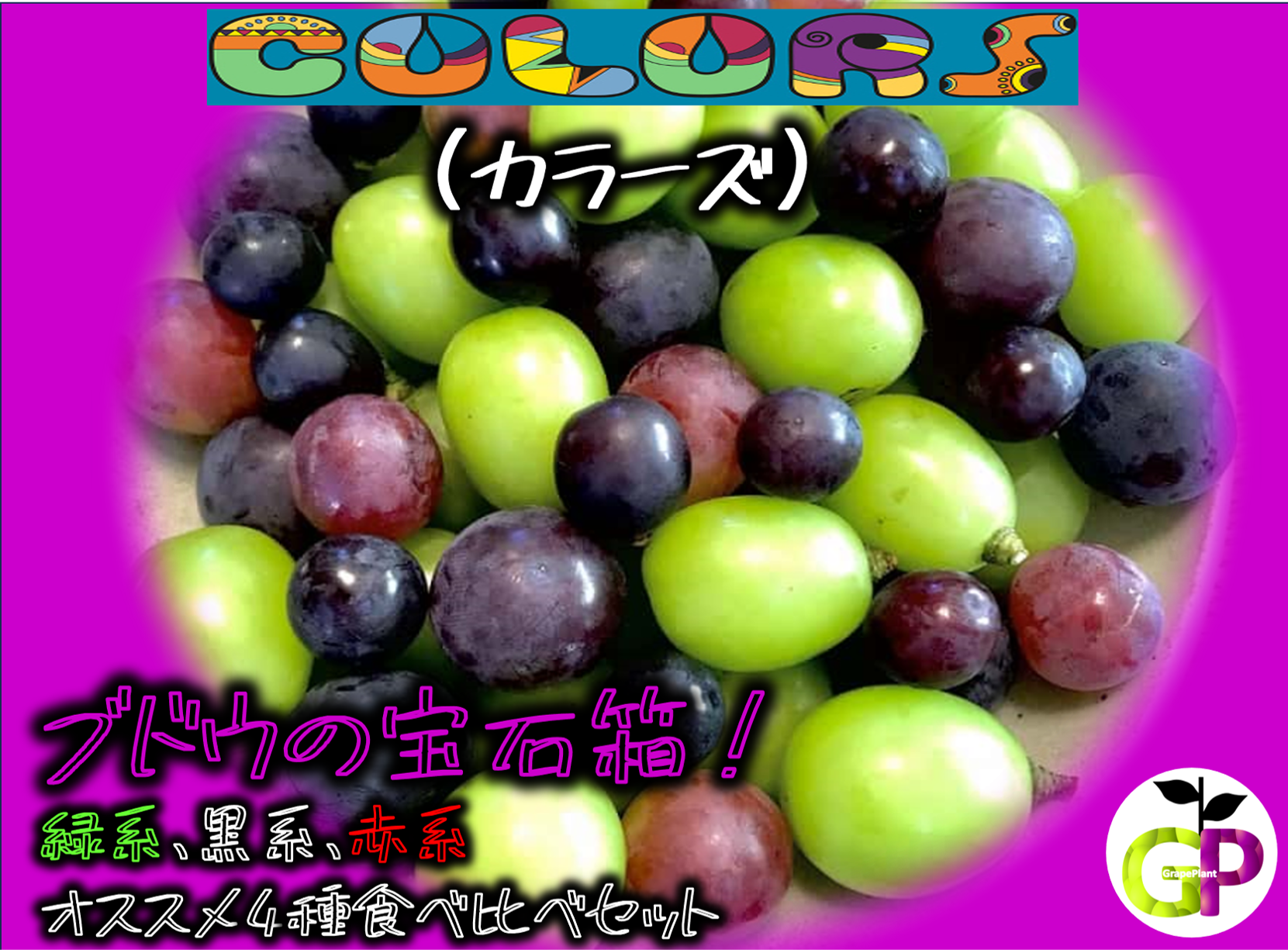 果実の宝石箱｜シャインマスカット＆巨峰 食べ比べ 4パック ぶどう