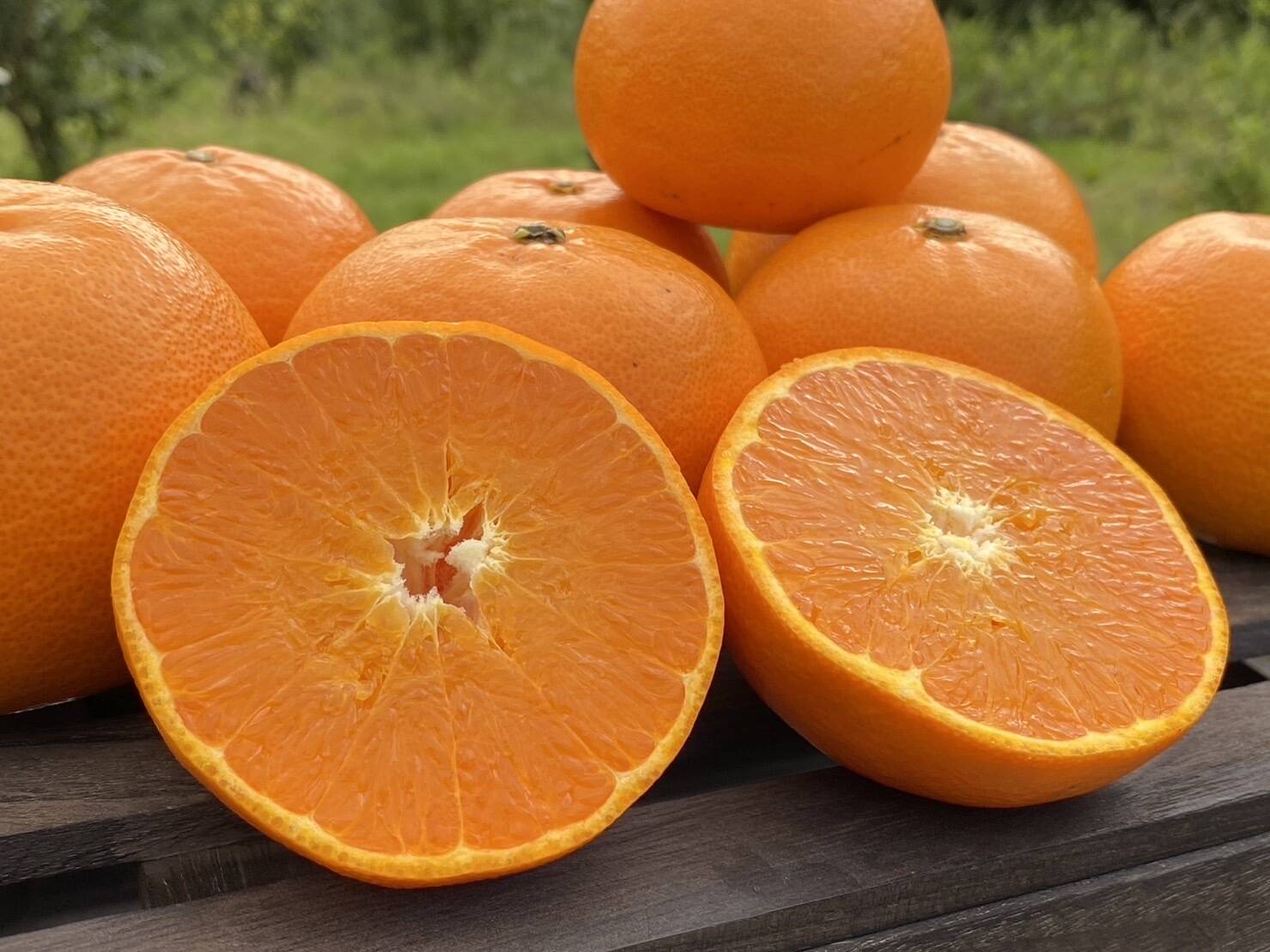 b6628ac14b62183f41867258e17790