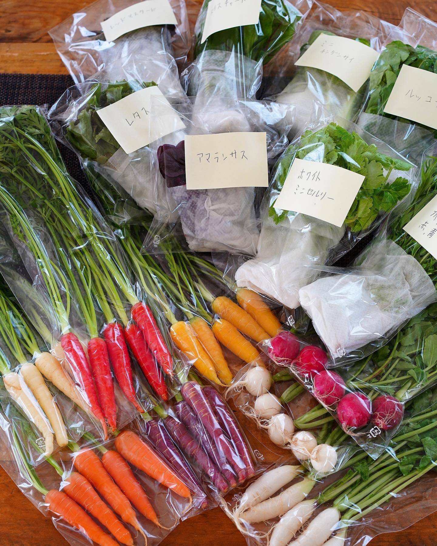 あま〜い有機ミニ人参入り！ミニ有機野菜おまかせ10点セット【Lサイズ