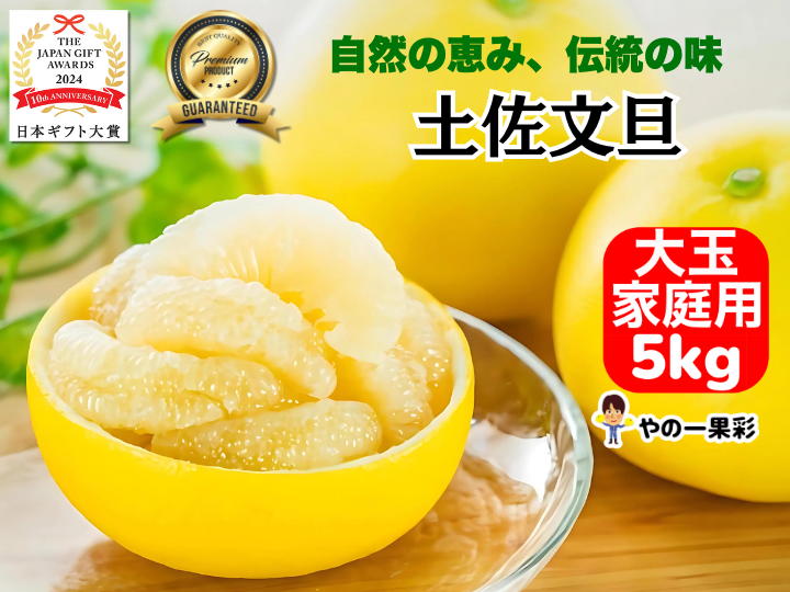ここまど　高知産　約２０ｋｇ　超大玉　土佐文旦　５Ｌ　北海道沖縄発送不可 b6917d43dfd0b0566c5ae8f1c389f9