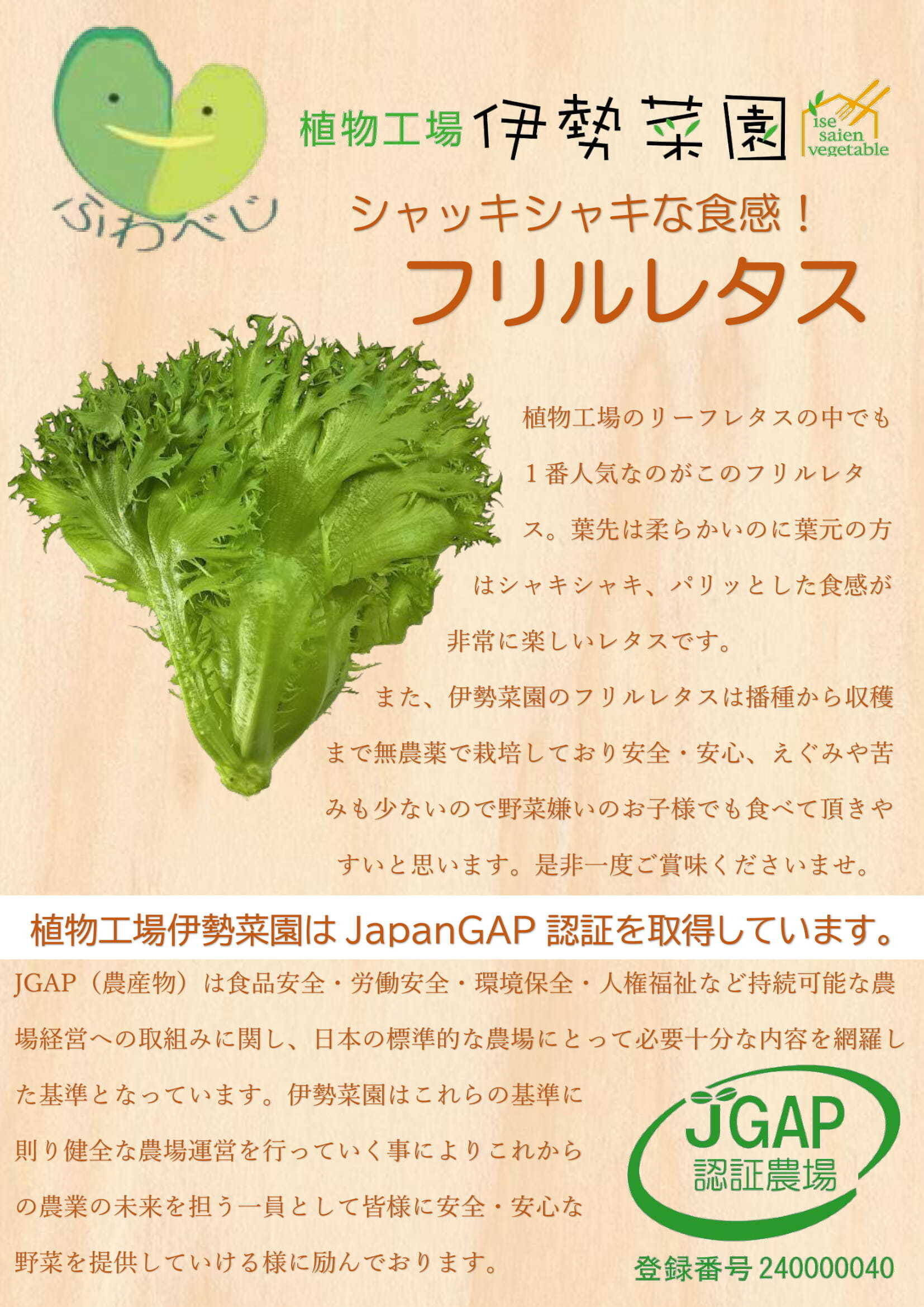 フリルレタスのリーフレット作りました 食べチョク 産地直送 産直 お取り寄せ通販 農家 漁師から旬の食材を直送