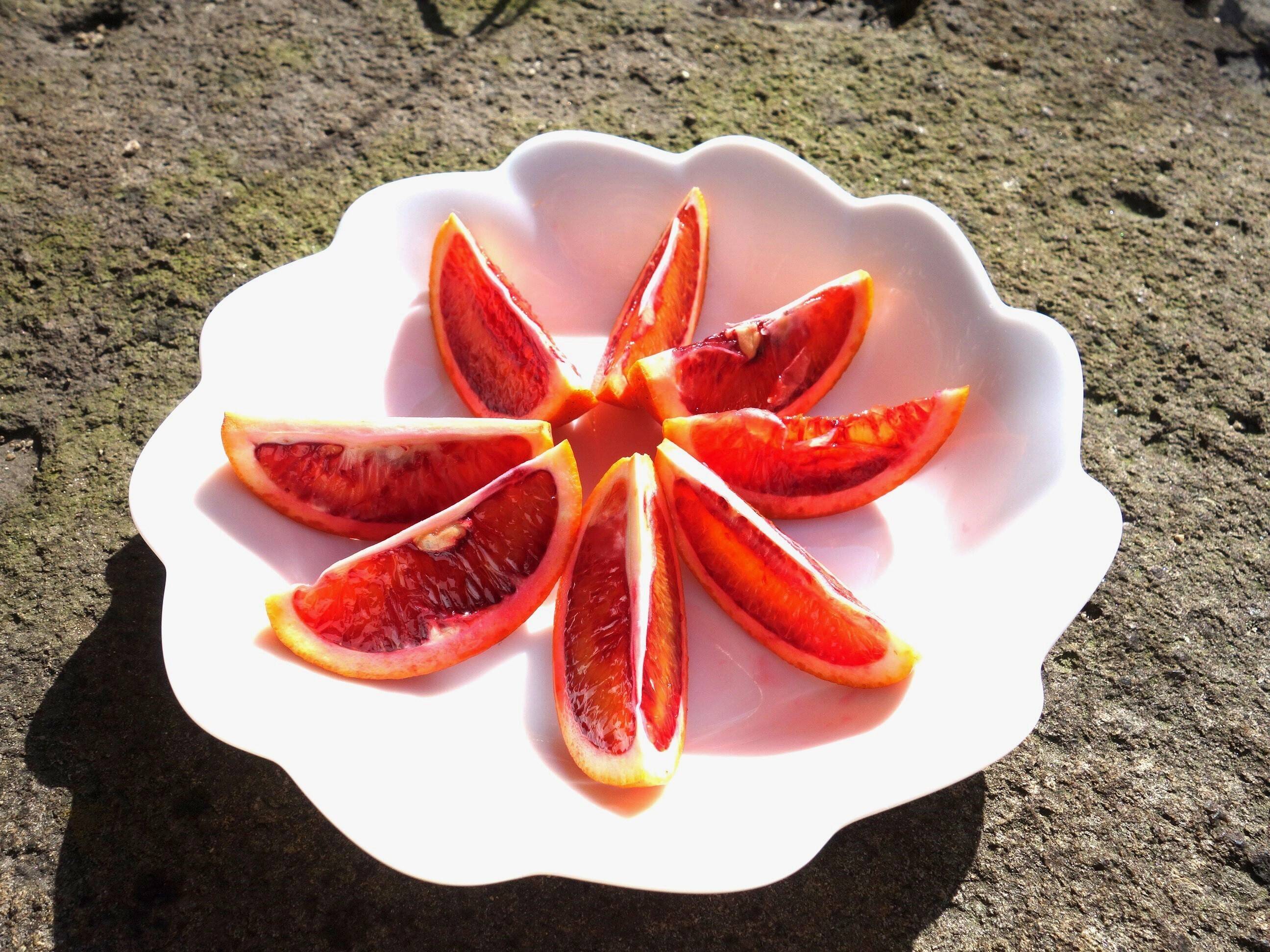 b6e1fa77b98945838e41cdb9cb13dc