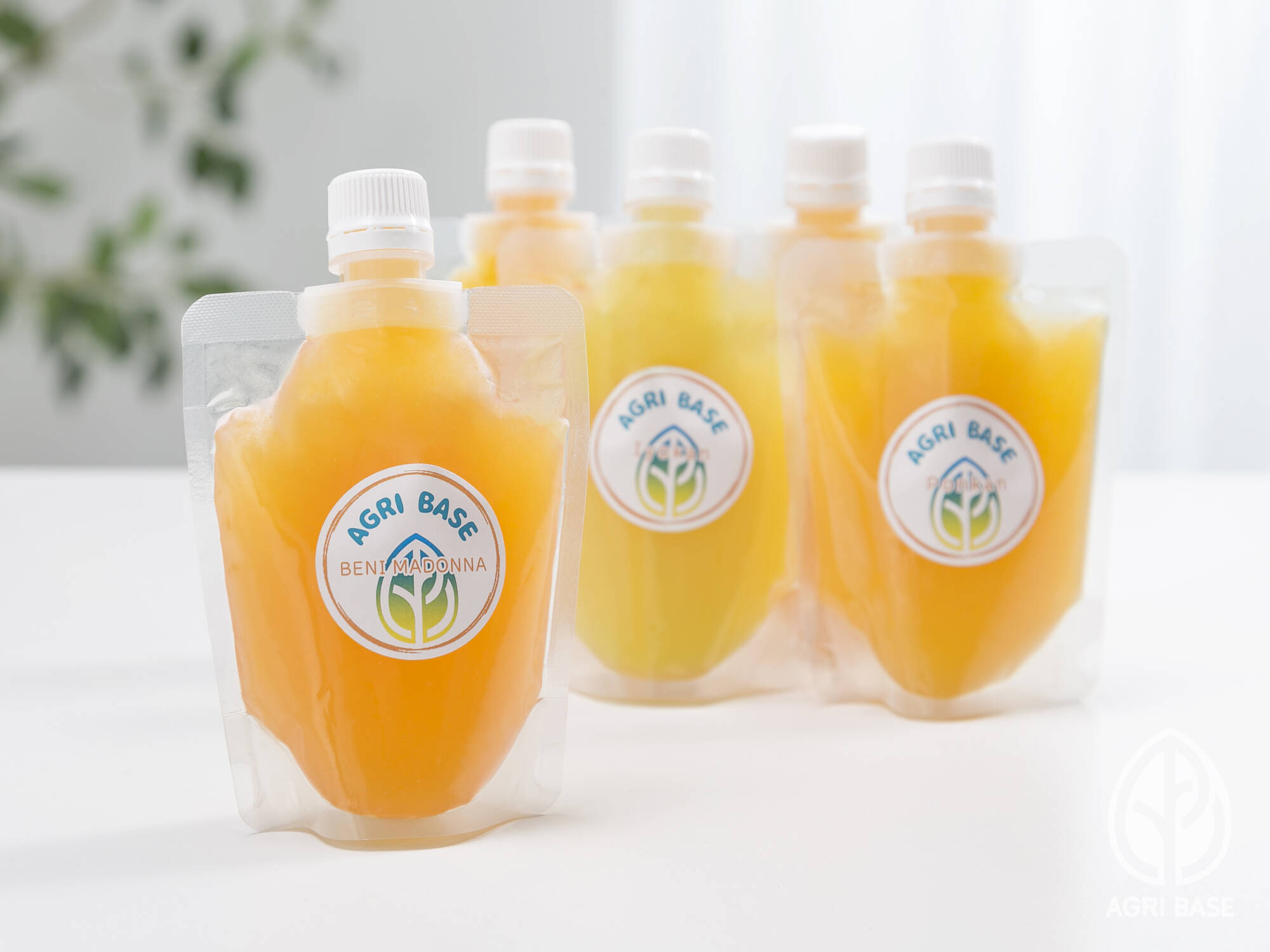 🍊飲むゼリー🍊無添加ジュレお得用20本set【各品種4本】：愛媛県産の