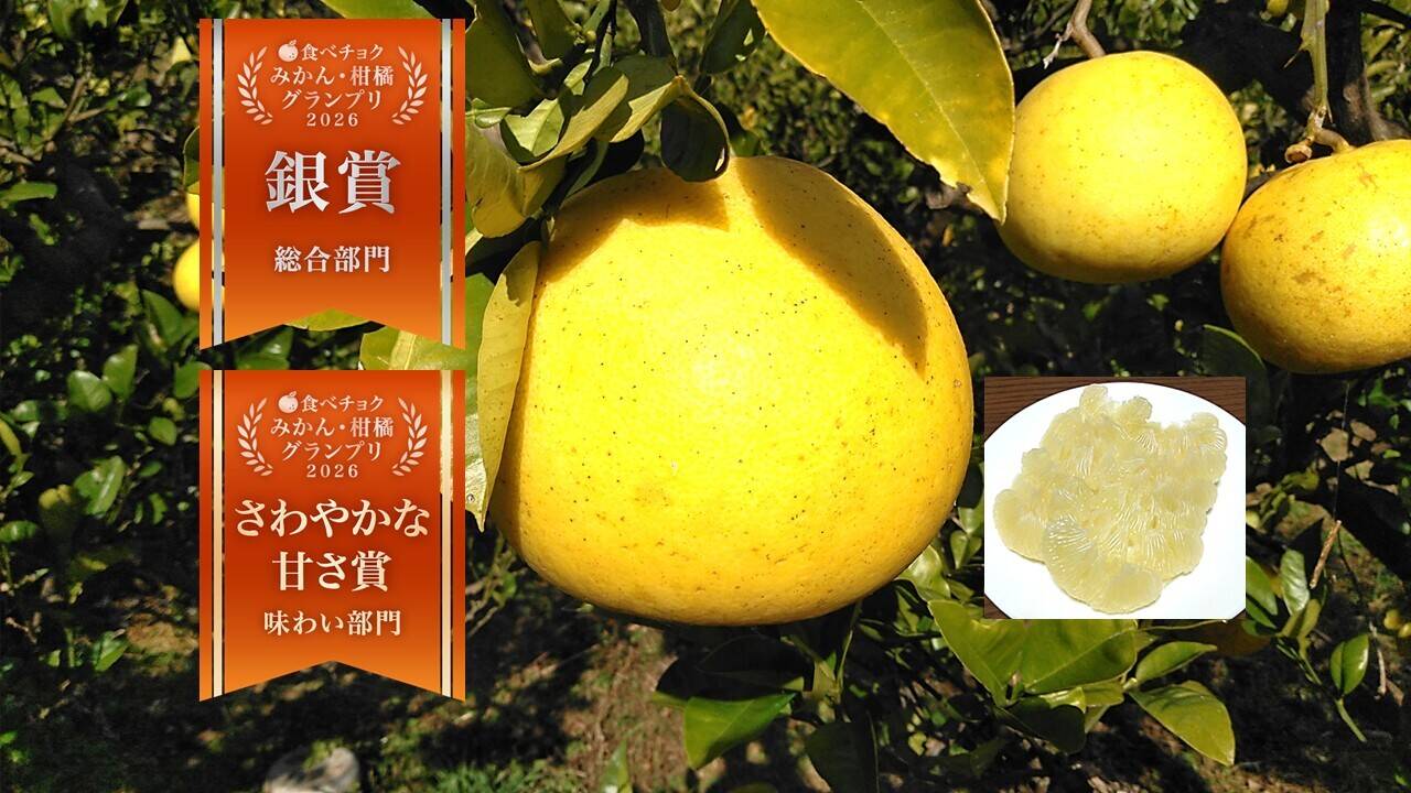 文旦　みかん　柑橘　訳あり　小玉、キズ　43 b707b8edffc2270655da4412e75794
