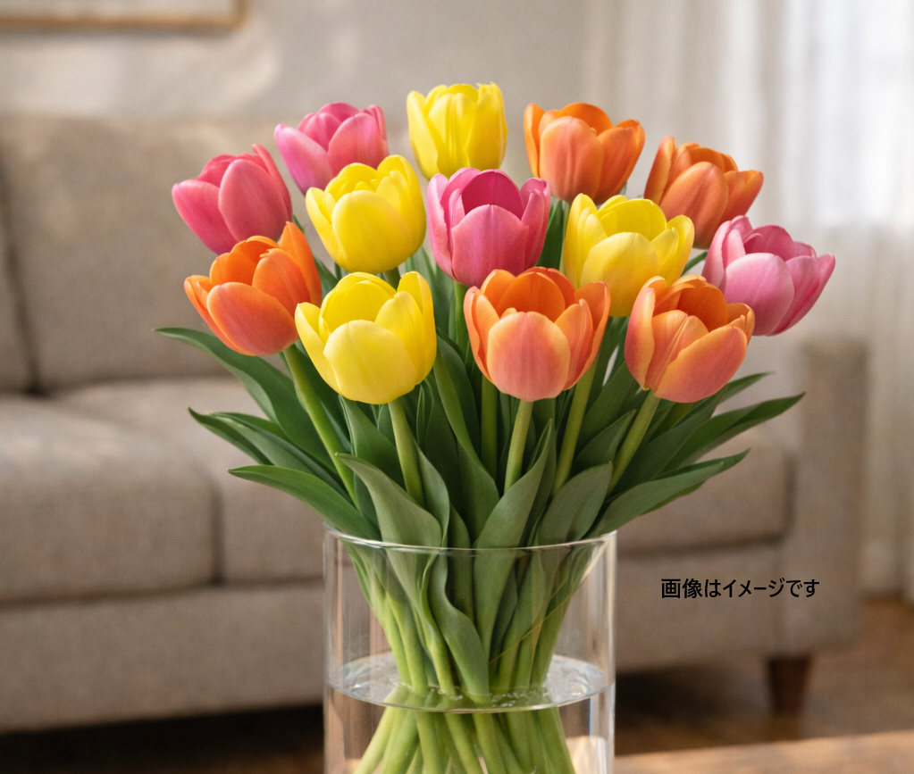 FEB.21 チューリップ☆切り花セット b711366214b1d382717ce78ef85632