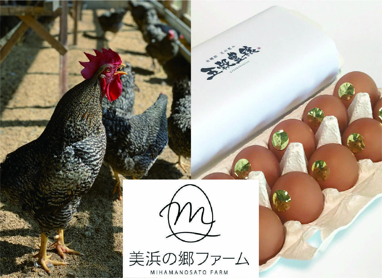 ２０個】紀の夢 平飼い放し飼い有精卵：和歌山県産の卵・乳製品｜食べチョク｜産地直送(産直)お取り寄せ通販 - 農家・漁師から旬の食材を直送