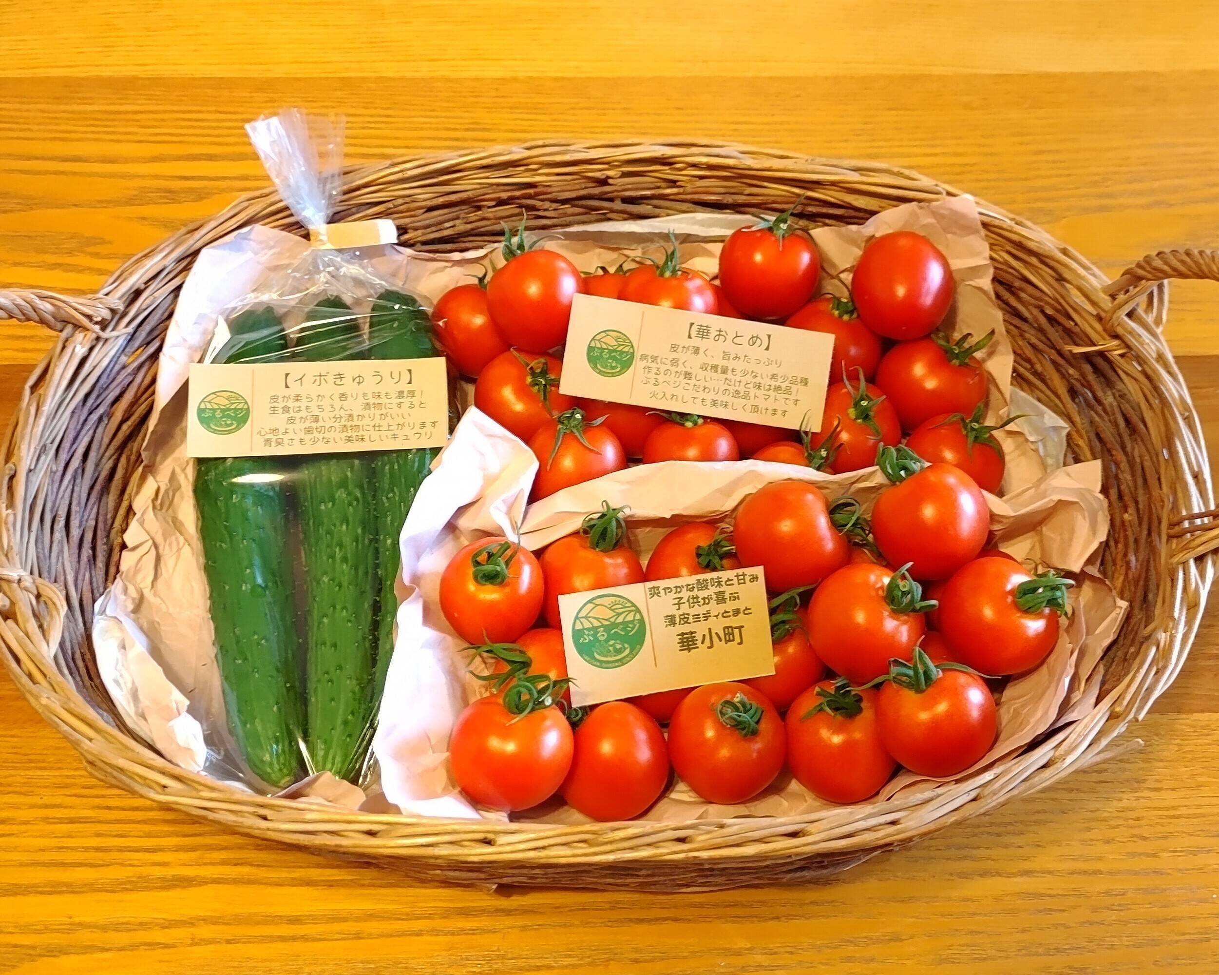 秋の新物】こだわり薄皮中玉トマト?【華おとめ】&【華小町】Mix お 