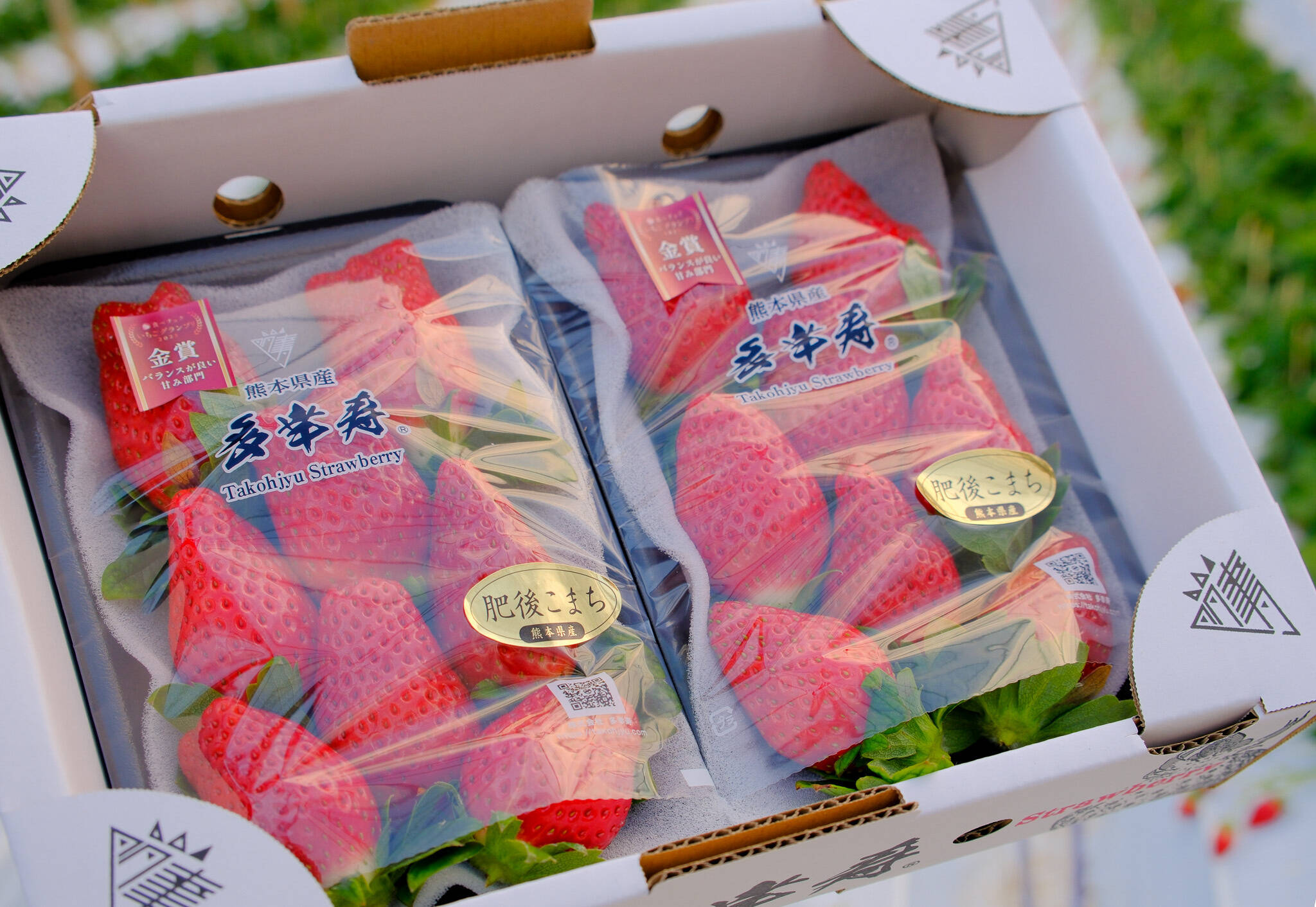 🥇いちごグランプリ金賞受賞！希少品種！『肥後こまち』ご家庭用パック