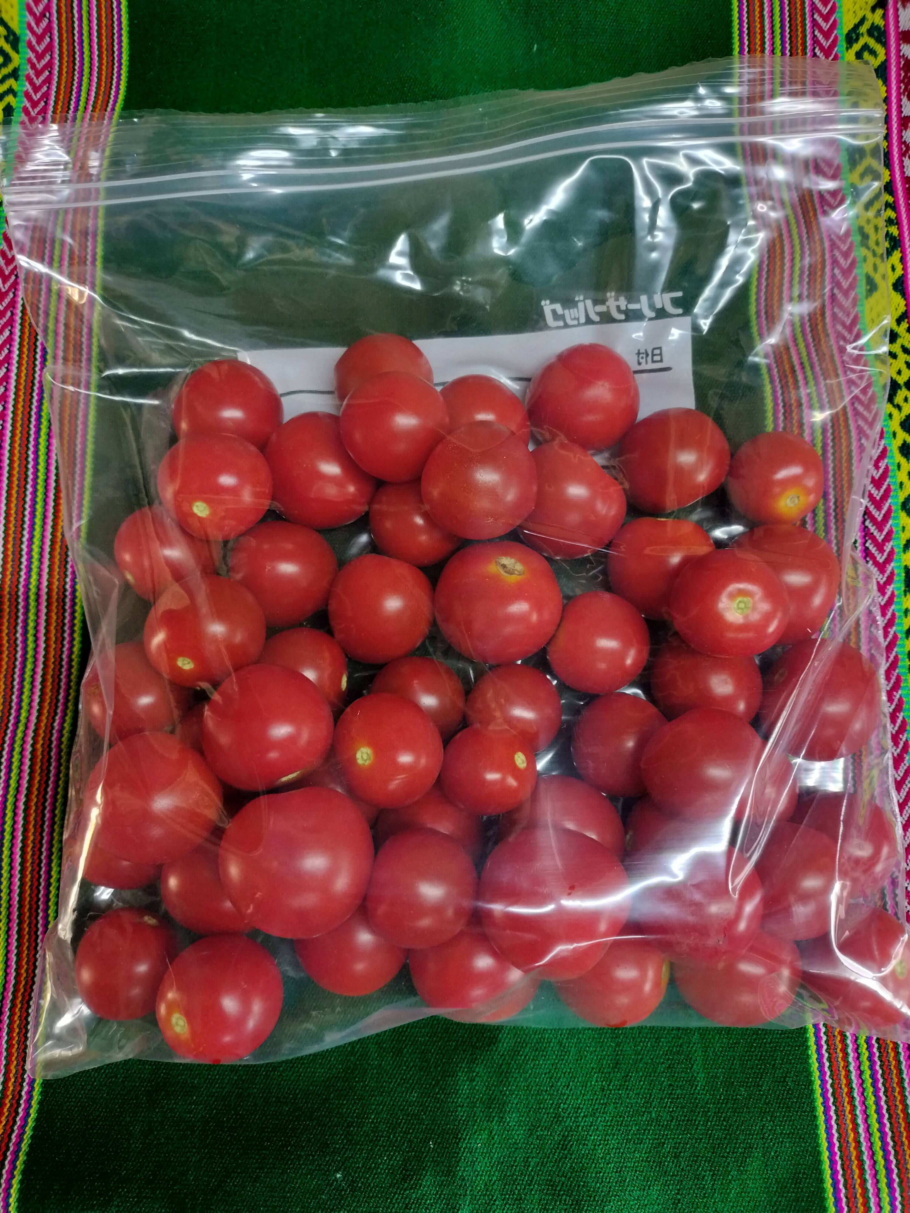 完熟冷凍ミニトマト 1.8kg☆ パチャママ農園：茨城県産のトマト