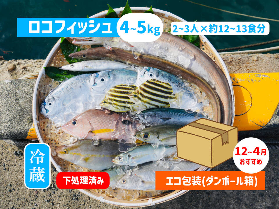 下処理⇒即日発送！ロコフィッシュ鮮魚ボックス4~5kg【エコ包装