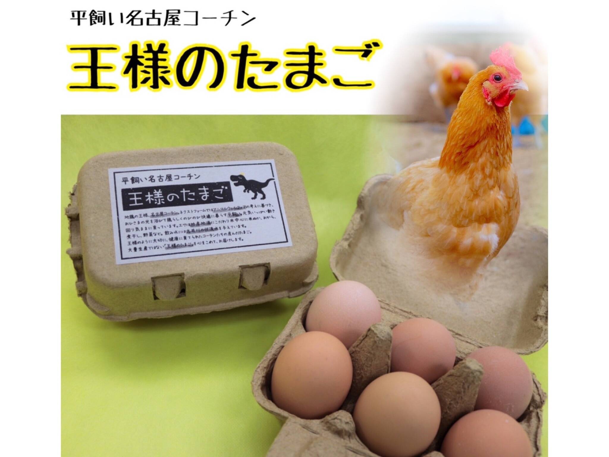 王様のたまご【平飼い名古屋コーチン】20個＋4個（割れ保証）：静岡県産の卵｜食べチョク｜産地直送(産直)お取り寄せ通販 - 農家・漁師から旬の食材を直送