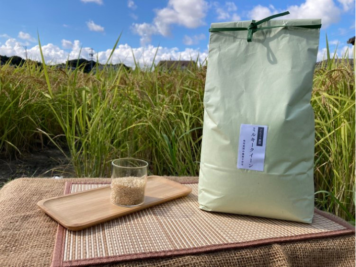 【チャチャ 様】専用　令和５年産新米ミルキークイーン玄米24kg 玄米24kg（8㎏×3）令和5年産新米ミルキークイーン 精米・分搗き
