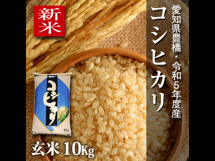 令和5年度産 山形県産はえぬき新米10キロ （玄米） - 米・雑穀・粉類