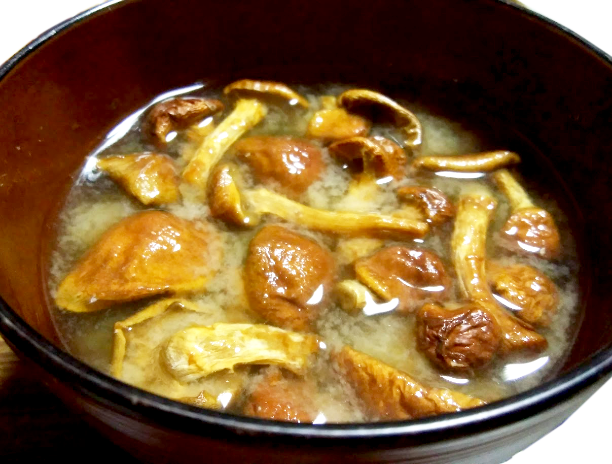 b7fa06103eb9bba32518c9ea9bcdfb