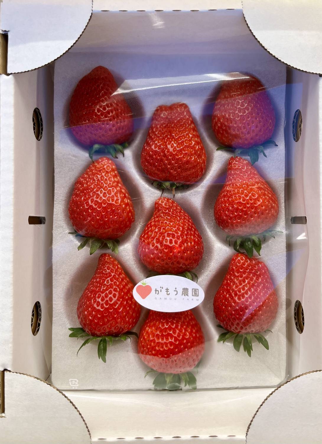 農家直送 採れたてのいちご食べたことある？ 平詰め 完熟新鮮いちご