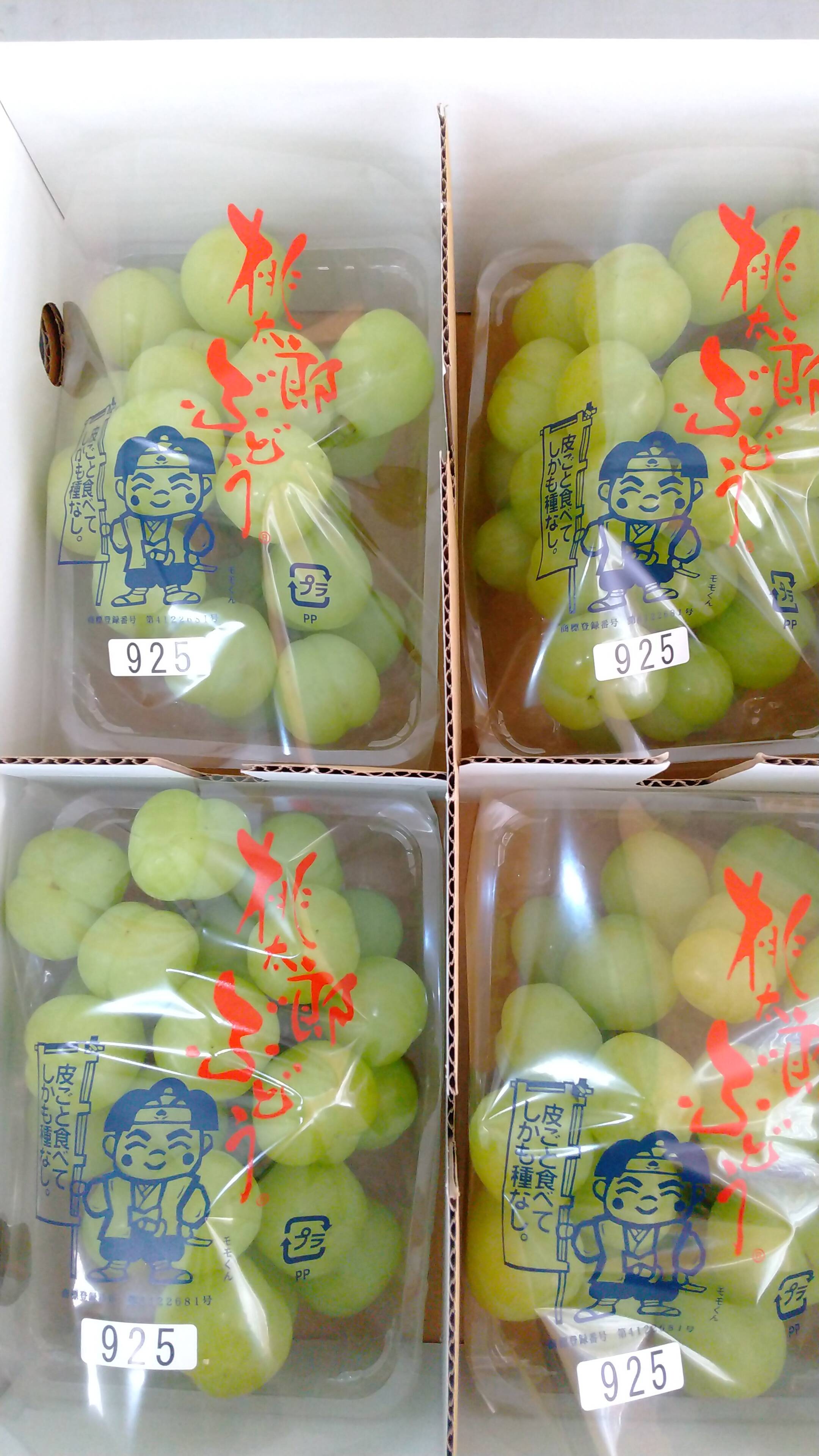 ごっちゃん　【送料無料　冷蔵】桃太郎ぶどう　約4kg1箱 パリパリシャクシャク桃太郎ぶどう ご家庭用400g×4p：香川県産の