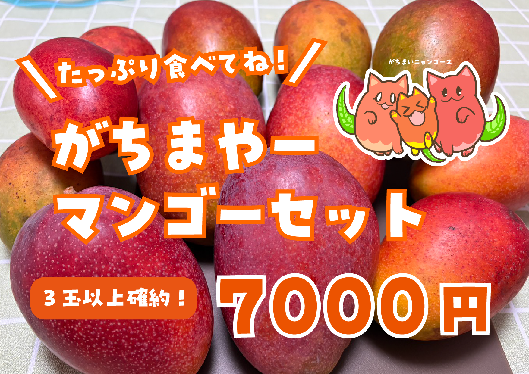 沖縄完熟マンゴー・がちまやーセット【1.5kg（3玉以上）】：沖縄県産の