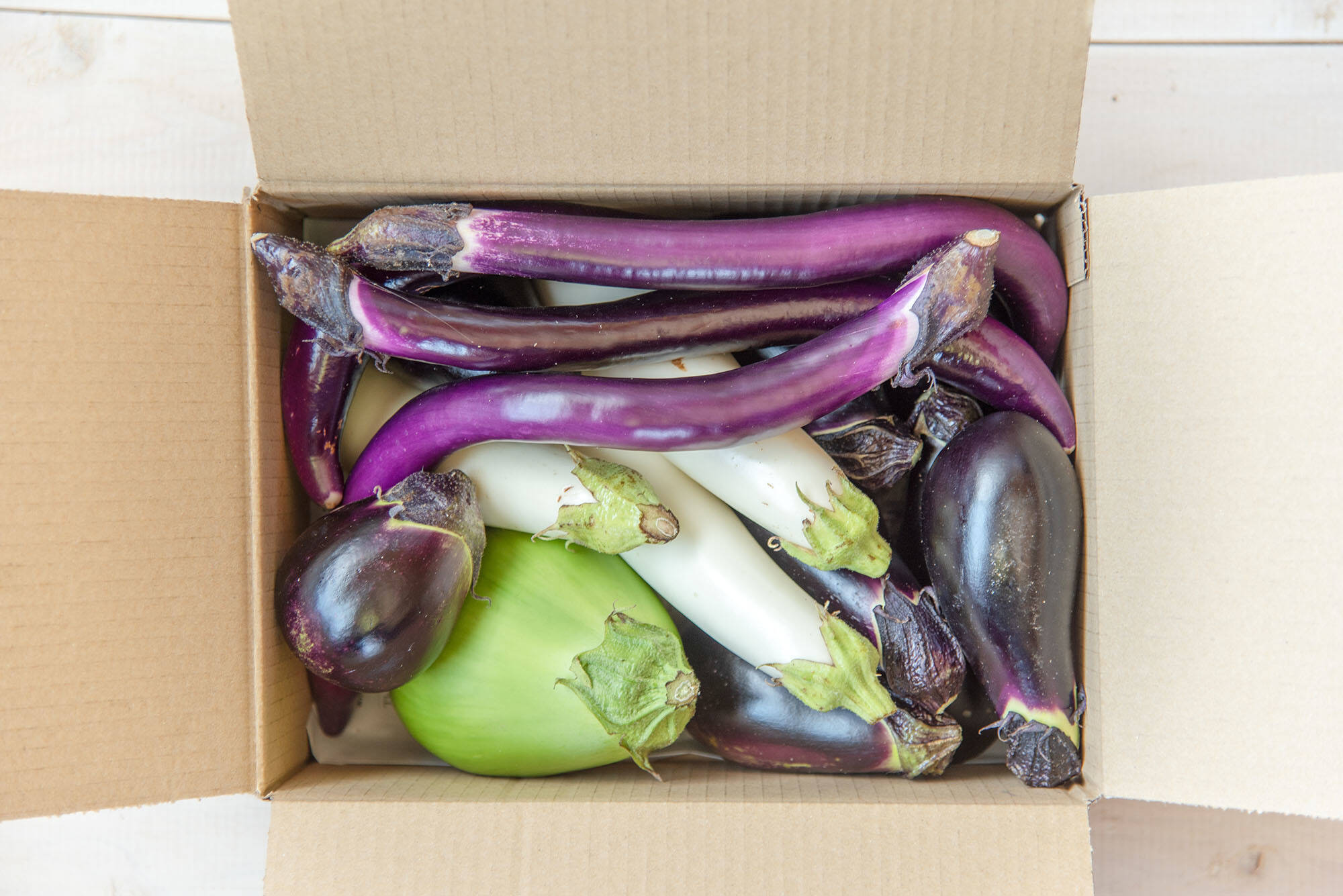 お得なまとめ買い！！！】今が旬！いろんなナス食べ比べセット（60