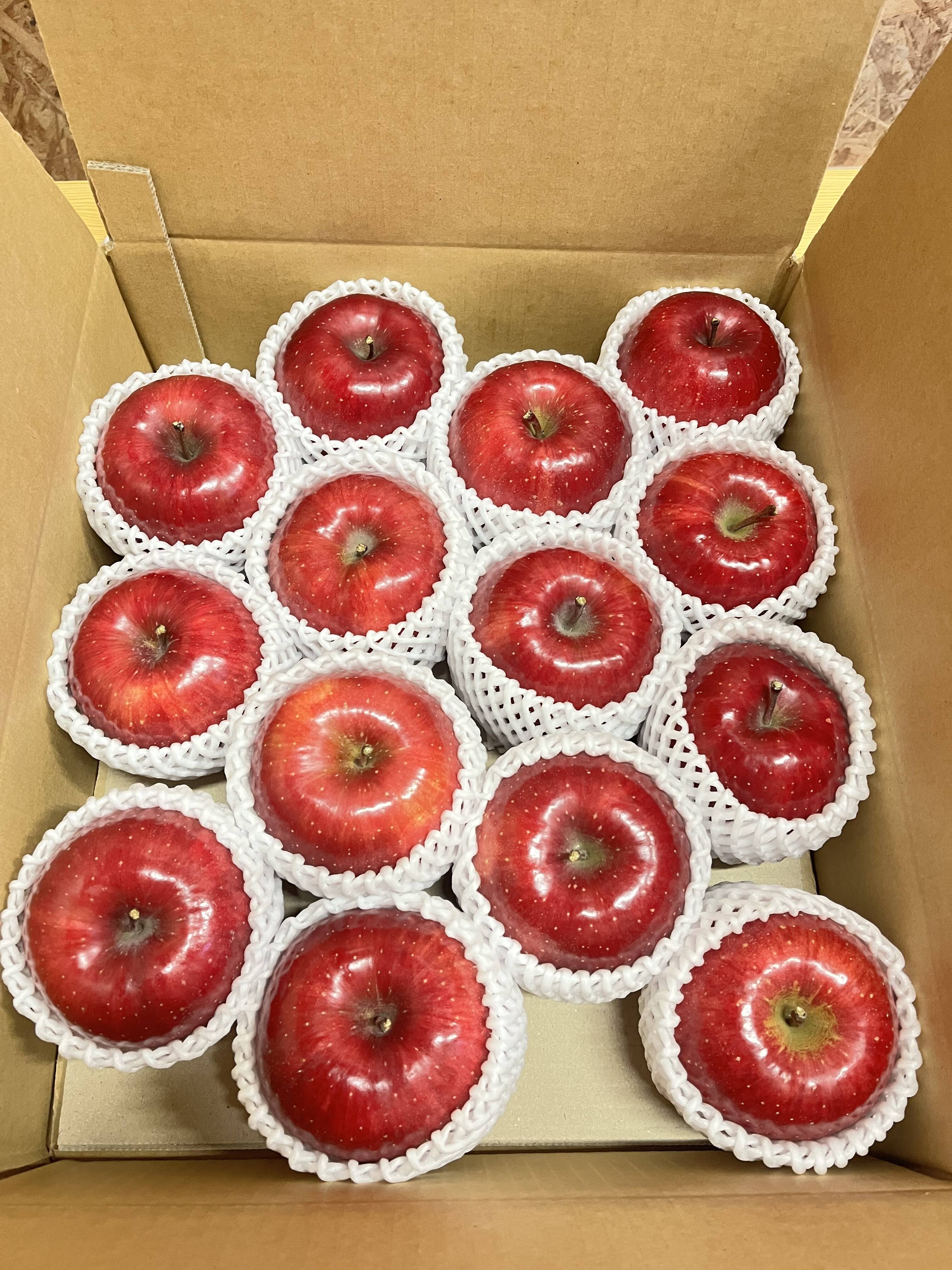 青森県産りんご 葉とらずりんご コスモふじ 贈答用【5㎏ 12～20個入り