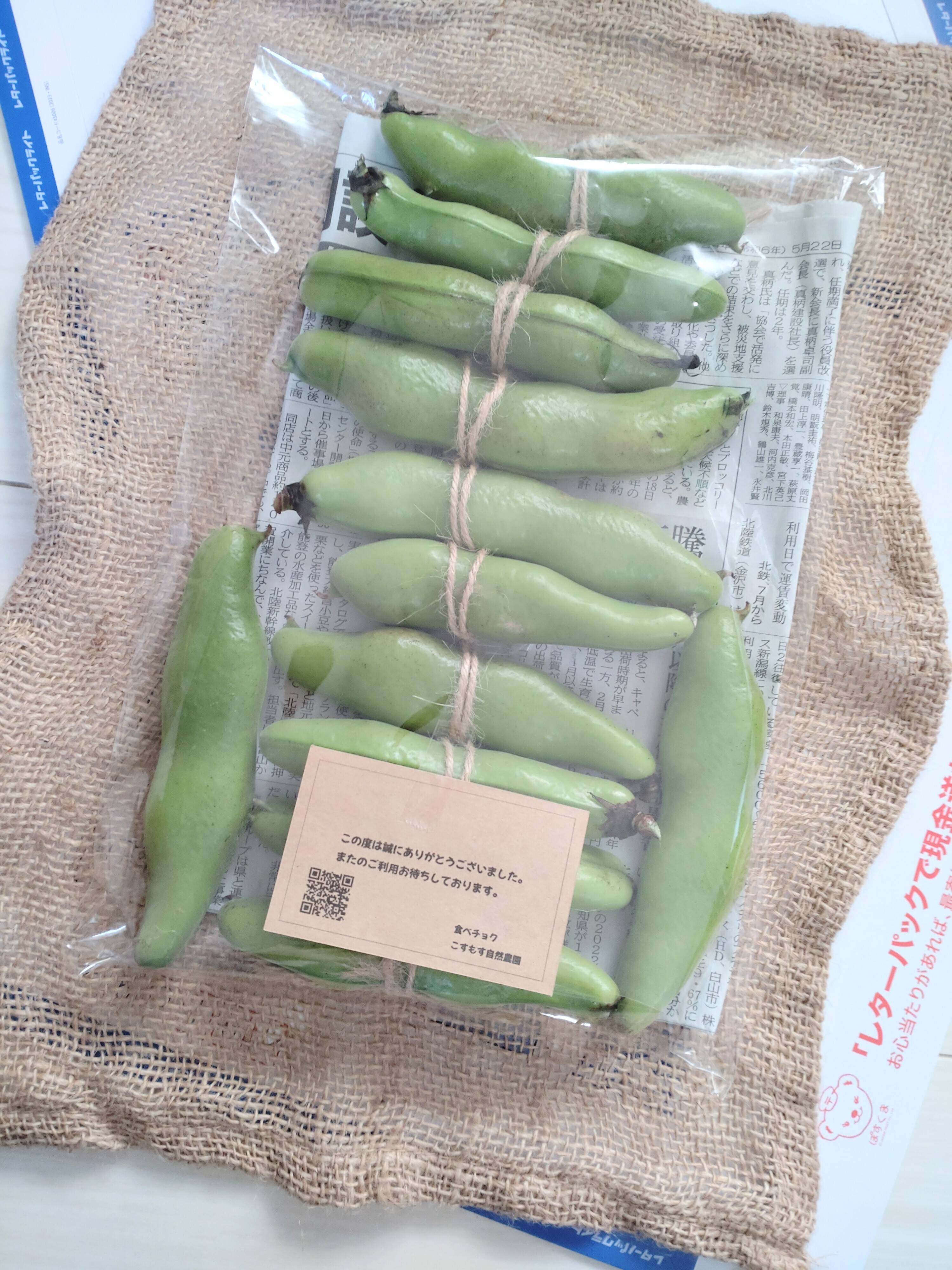 単品☆メール便用】そら豆10個（10本）入り?農薬、除草剤、化学肥料不 