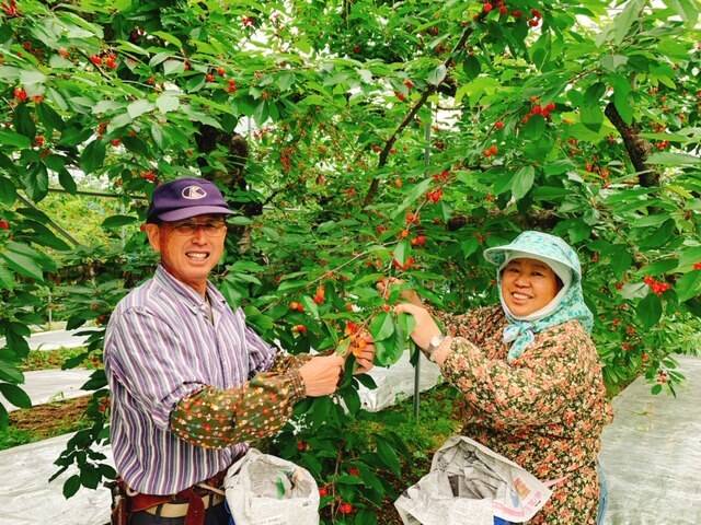 丸末果樹農園
