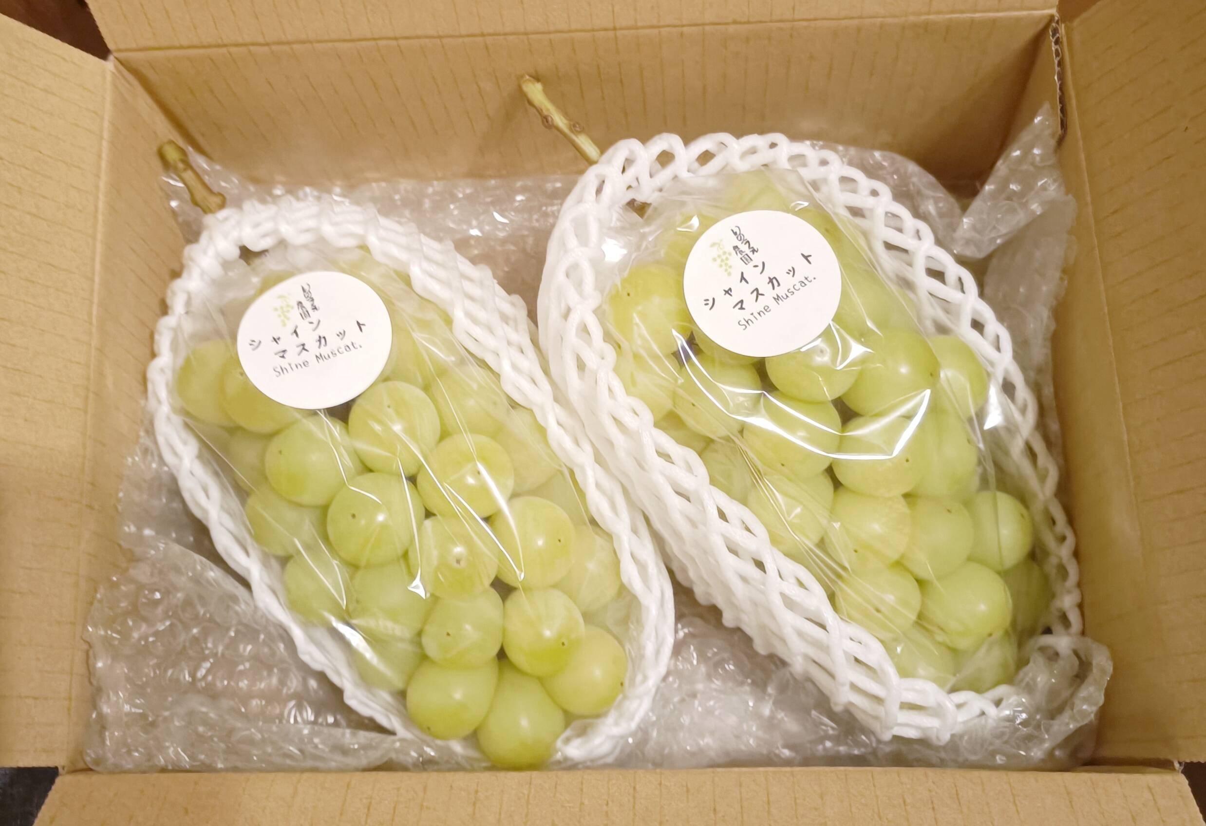 岡山県産つる付きシャインマスカット1kg(2房)：岡山県産のシャイン