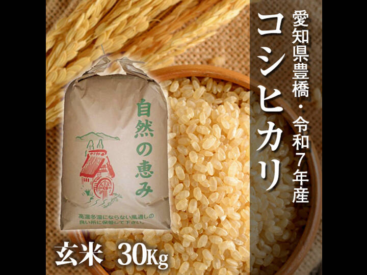節減対象農薬6割減】コシヒカリ 玄米30g【令和7年・愛知県産】：愛知県