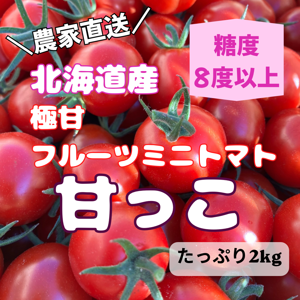 訳あり】大人気‼️一口で笑顔に‼️甘うまミニトマト「甘っこ」北海道産