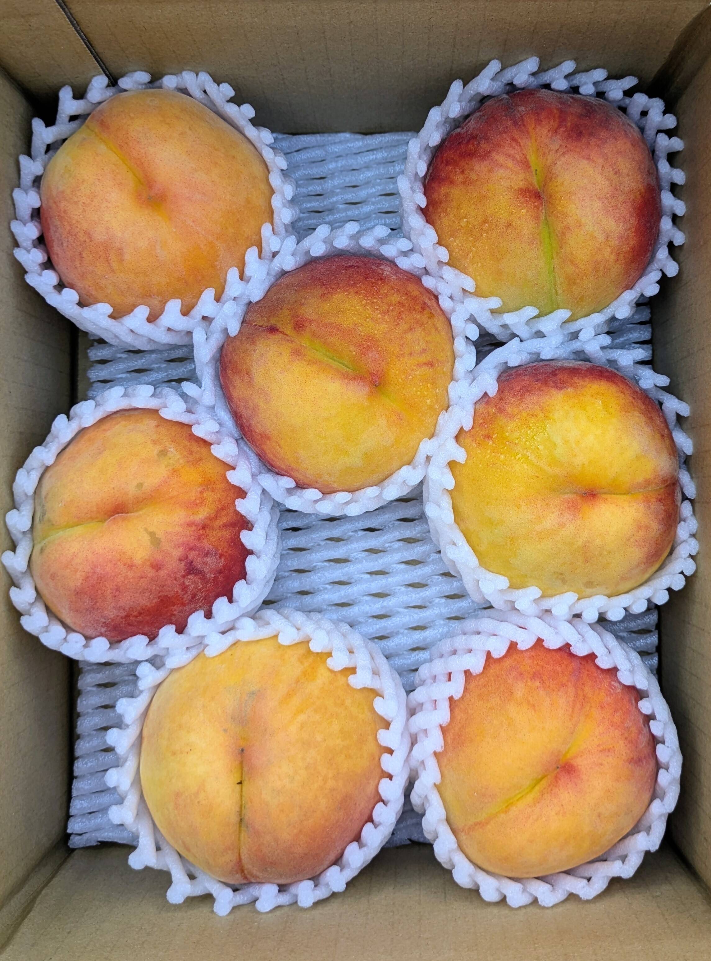 長野生まれのレア品種【桃×ネクタリン】ワッサー 約3kg：長野県産の