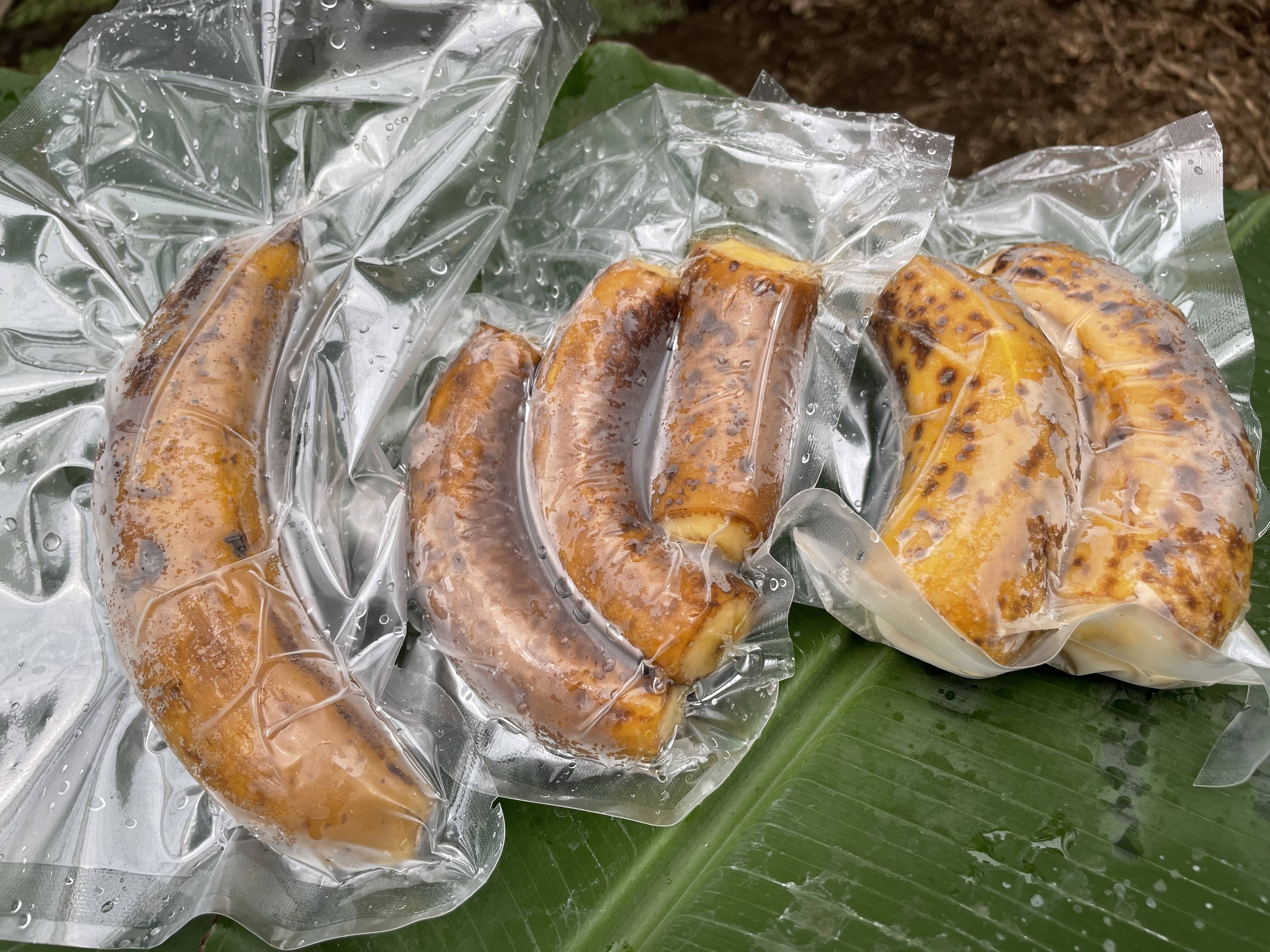 びっくり！！皮丸ごと冷凍バナナ！！ 栄養満点の皮丸ごとバナナ 