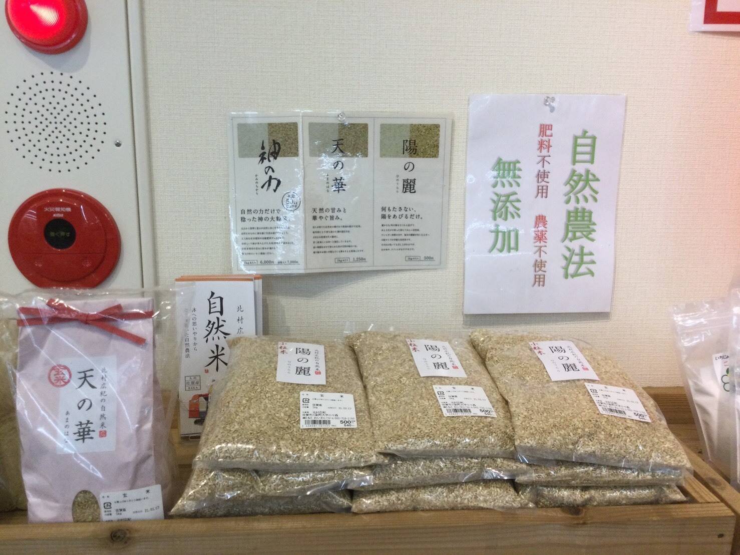 静岡産 無農薬 米 にこまる　20kg