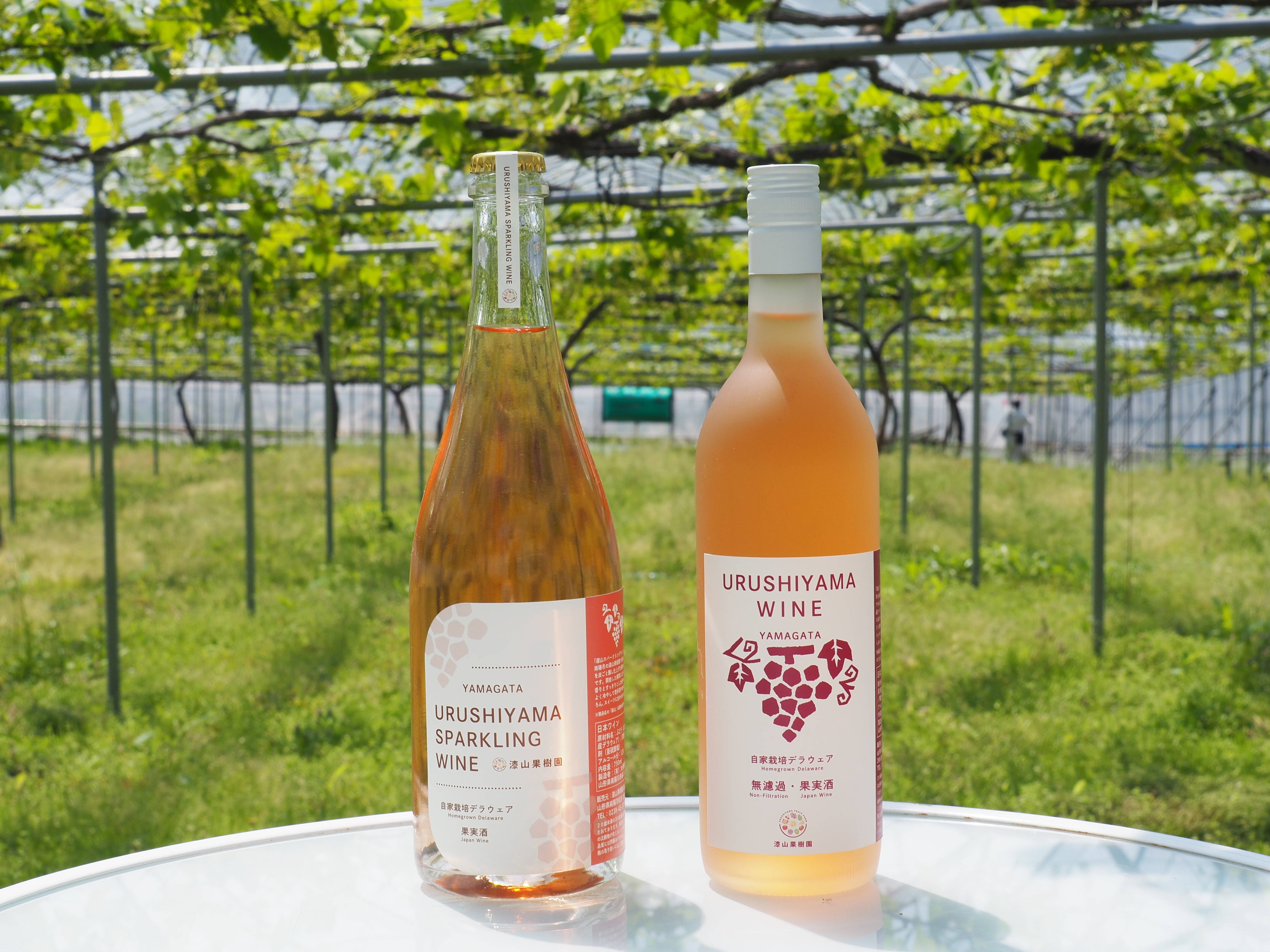 北海道紅葉樹セット　白樺　ミズナラ　山葡萄　他 ♥ブドウ農家が贈る♥【ギフトや手土産に】漆山果樹園ワインセット