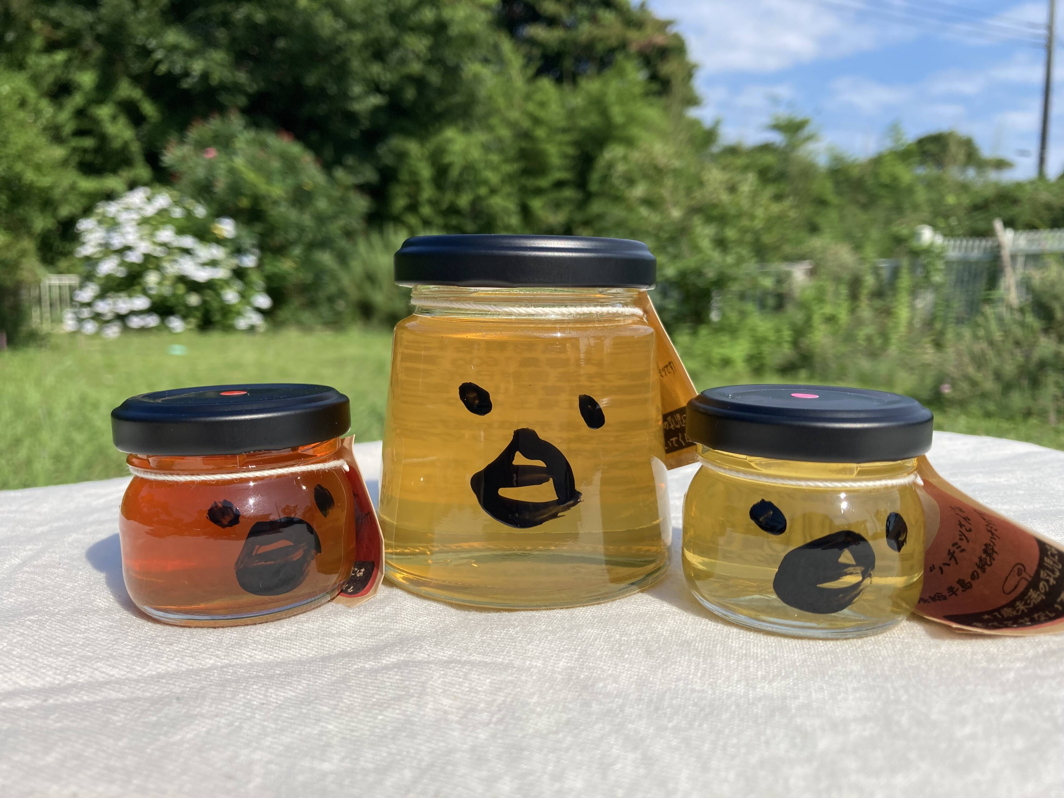 新蜜　日本ミツバチの百花蜜（１年物）㊶　550✕4本（2.2㎏） 楽天市場】2本以上で送料無料【数量限定！】 日本ミツバチ
